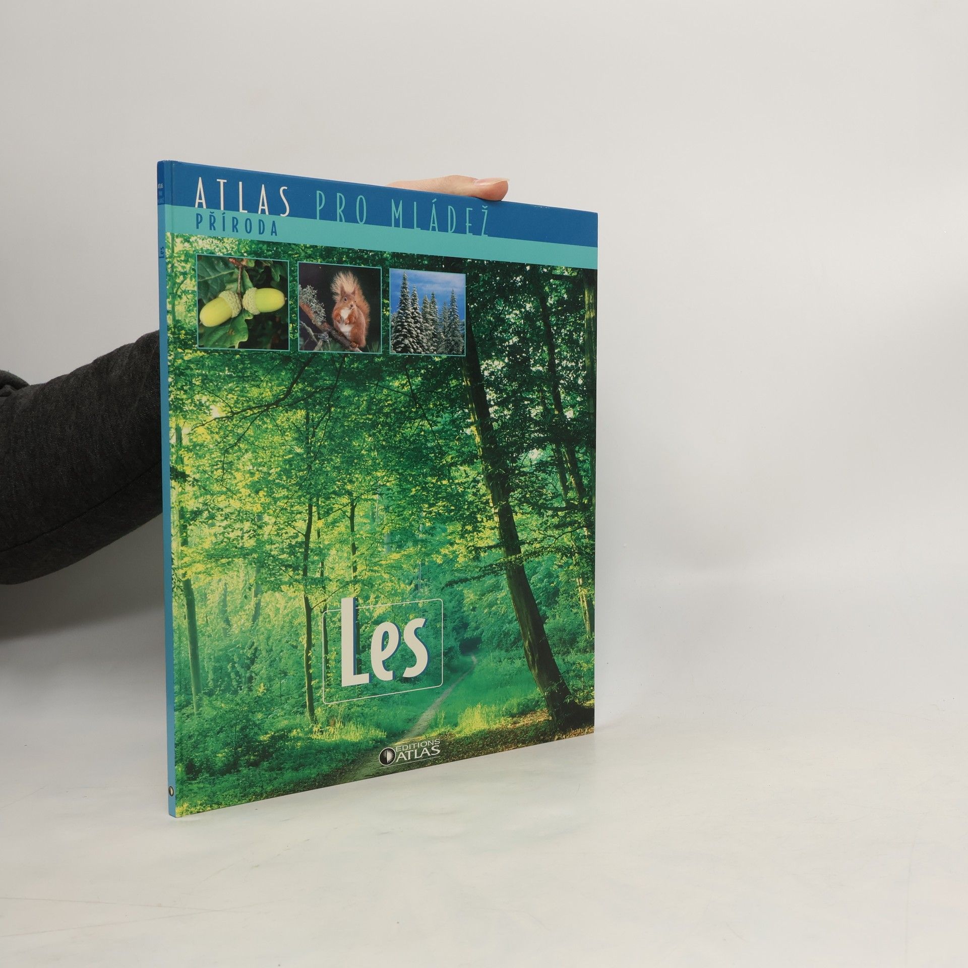 Kolektiv autorů Les