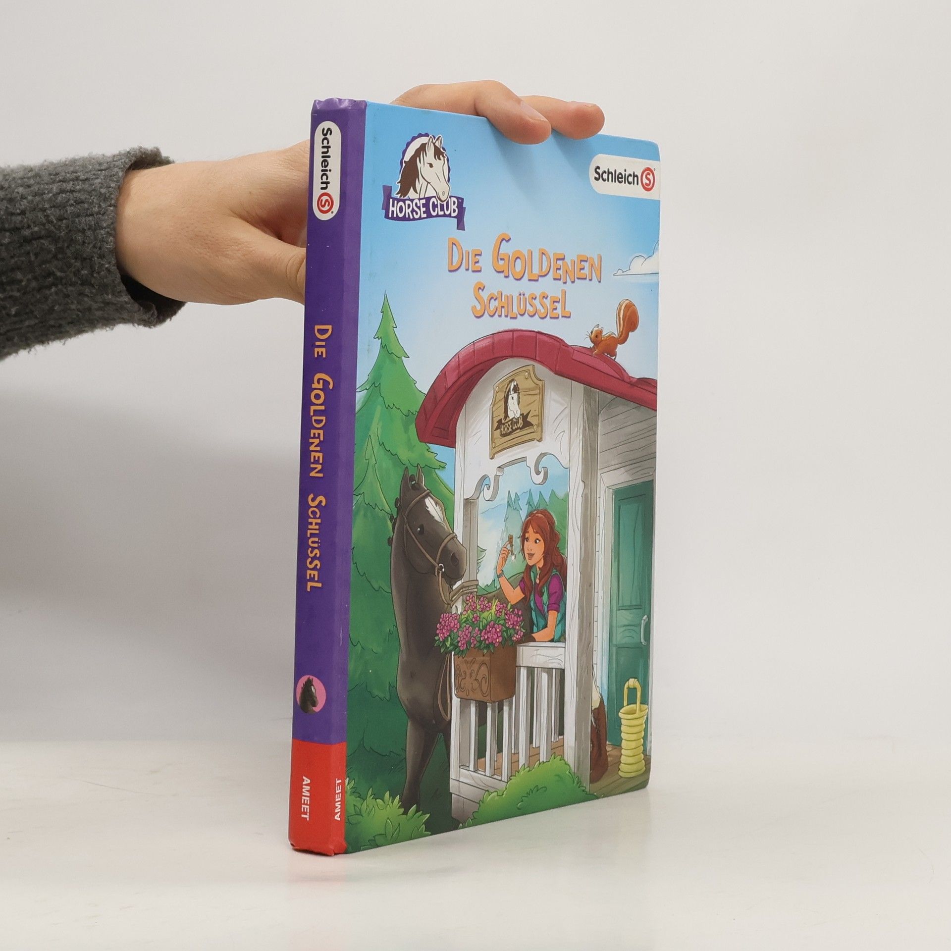 Emma Walden Horse Club. Die goldenen Schlüssel