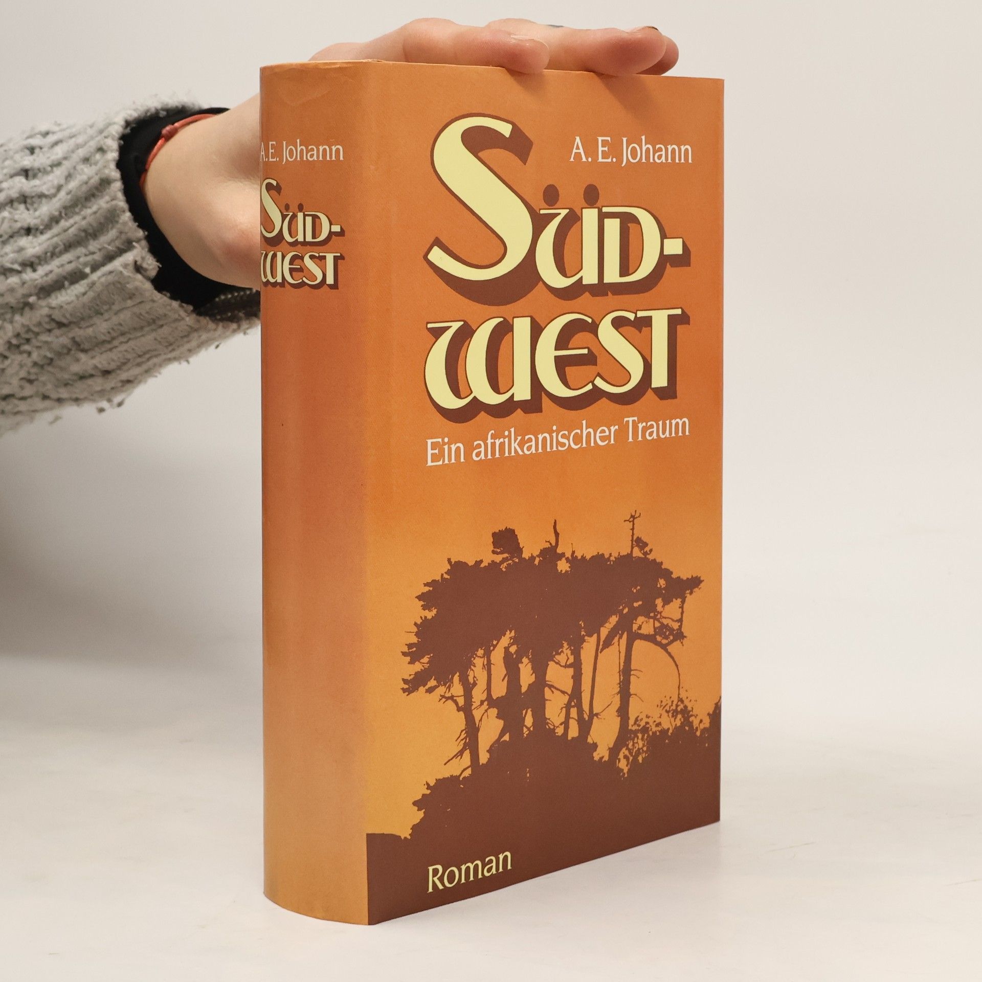 Alfred E. Johann Südwest