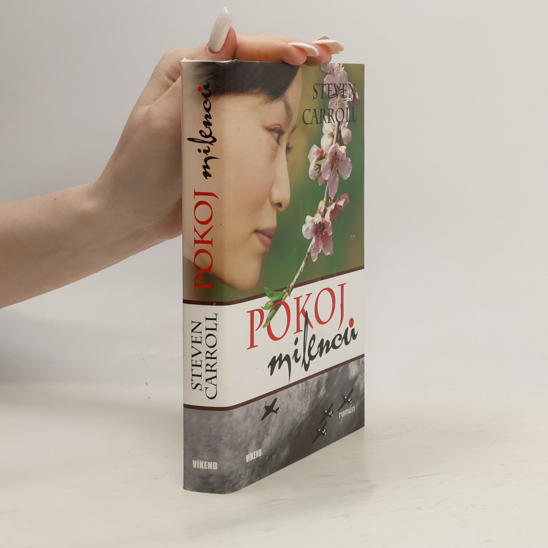 Steven Carroll Pokoj milenců