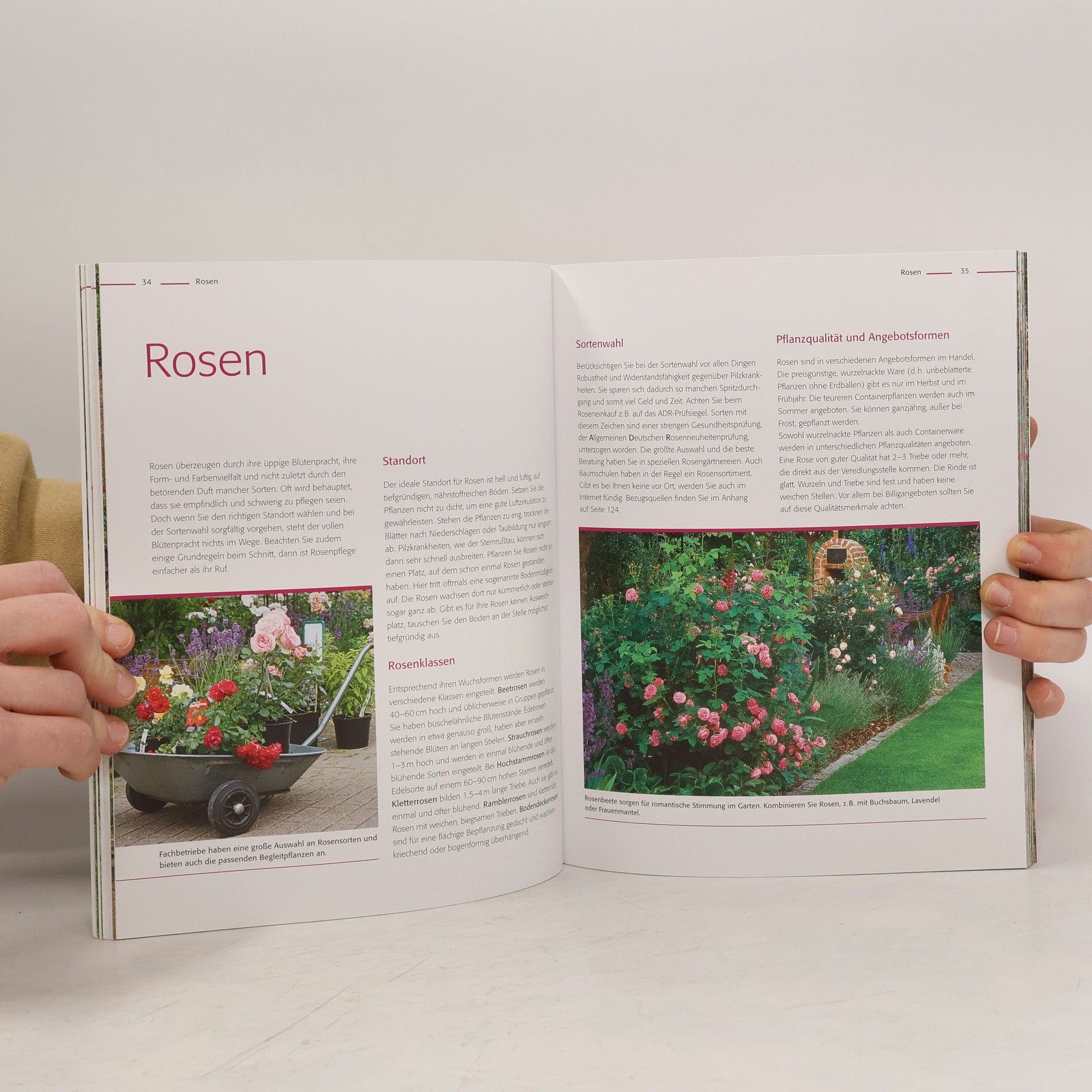 Dorothea Baumjohann Das 1 x 1 der Gartenpraxis