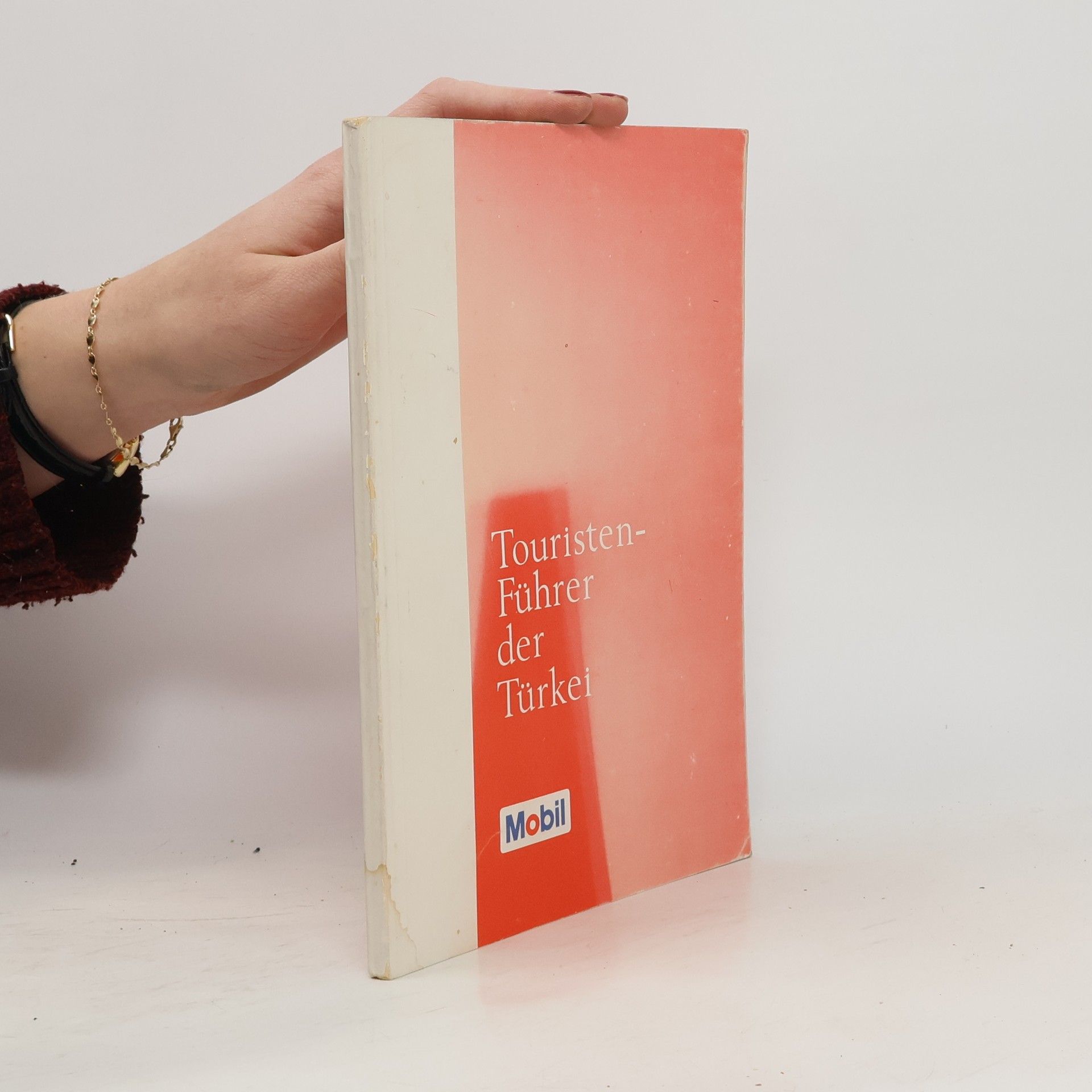 Auteurscollectief Touristen-Führer der Türkei