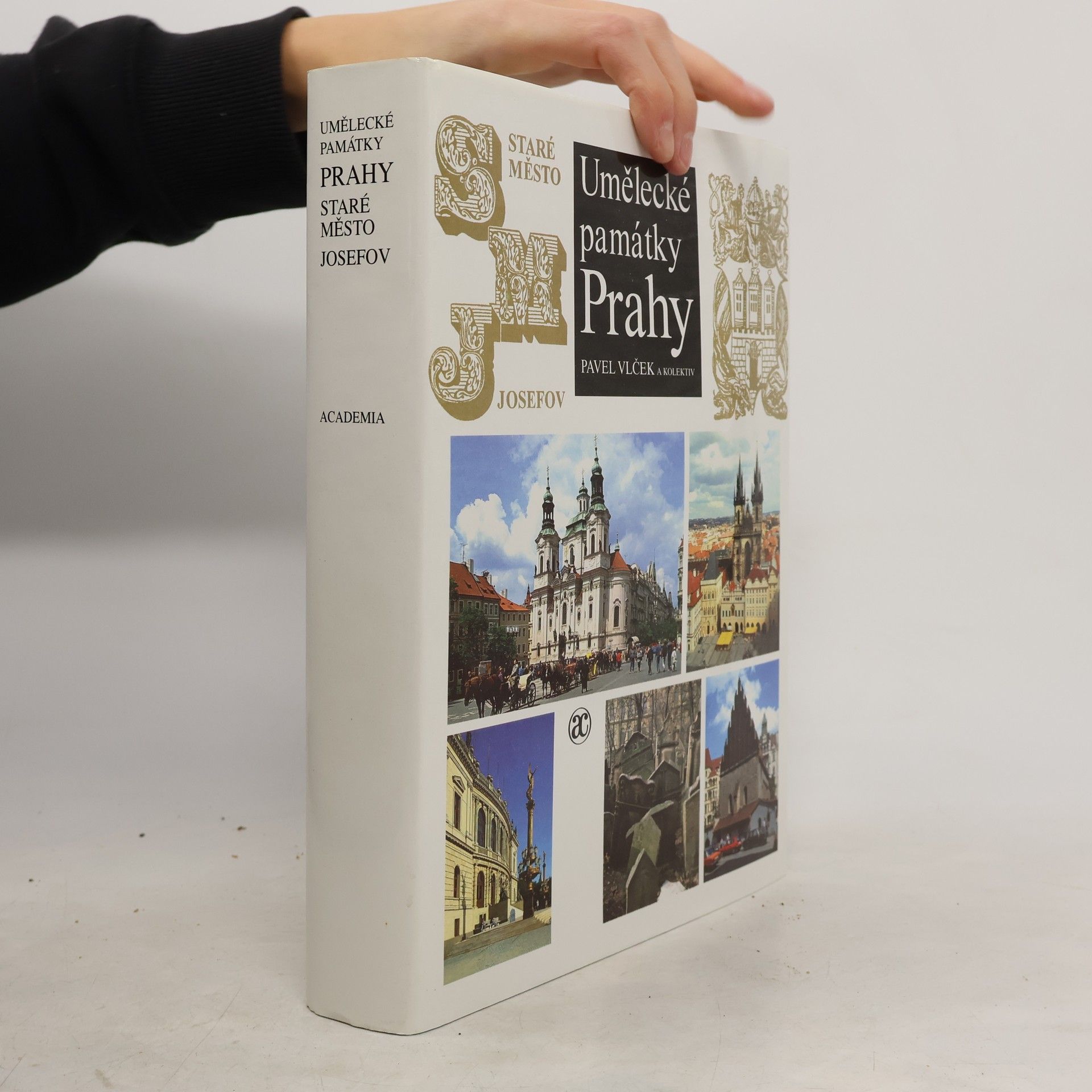 Pavel Vlček Umělecké památky Prahy. Staré město - Josefov.