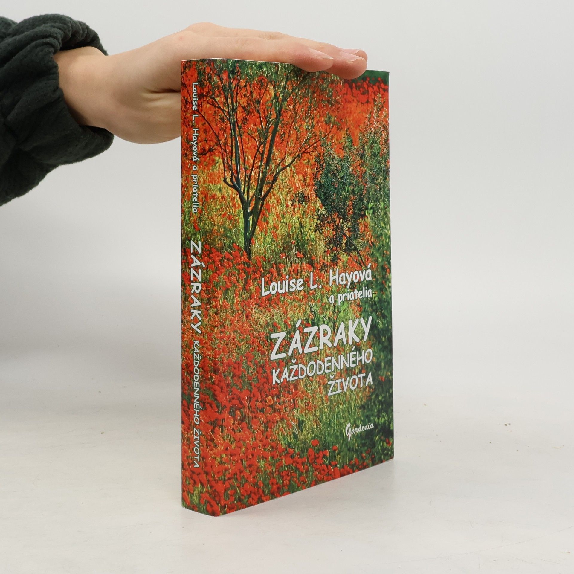 Louise Lynn Hay Zázraky každodenného života