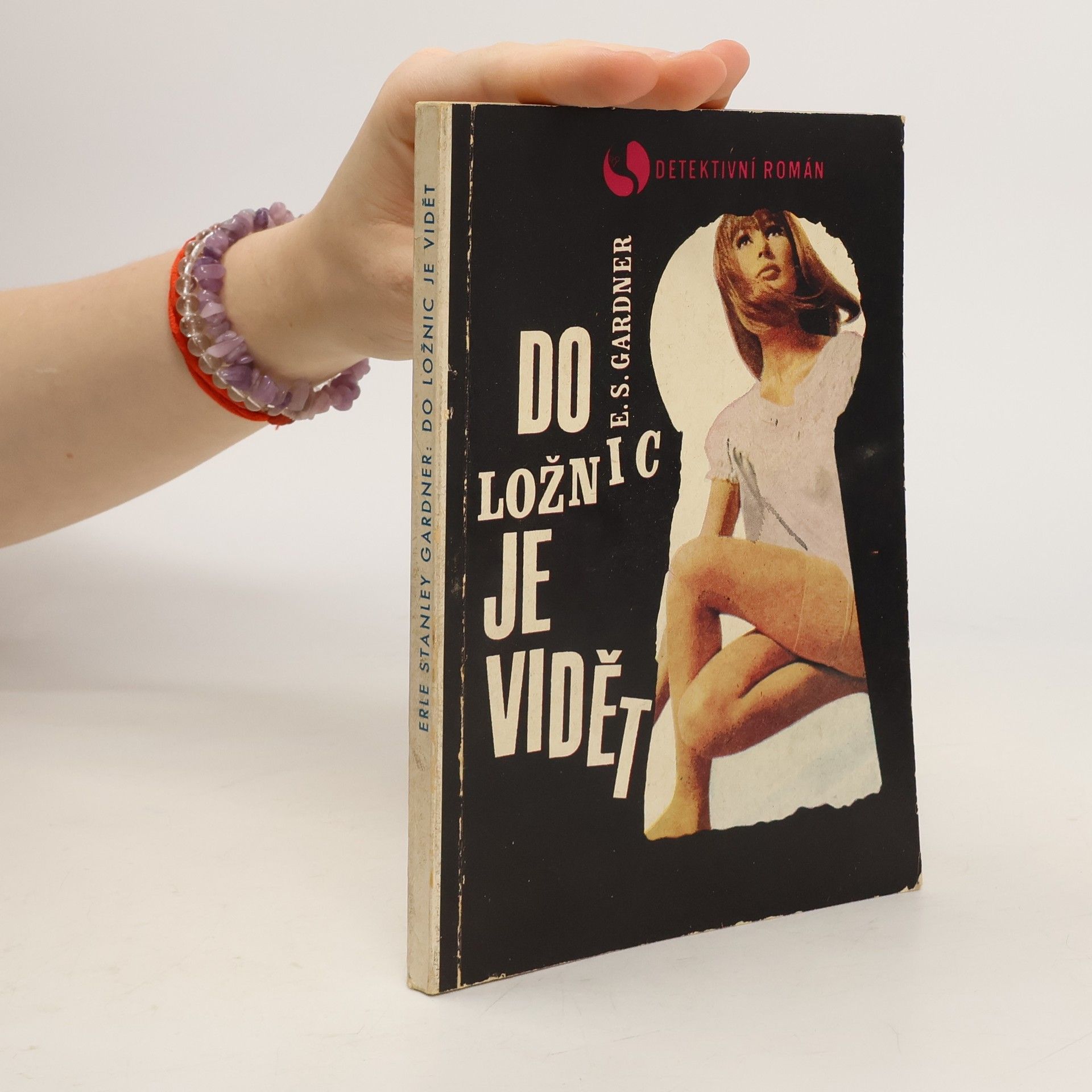 Erle Stanley Gardner Do ložnic je vidět