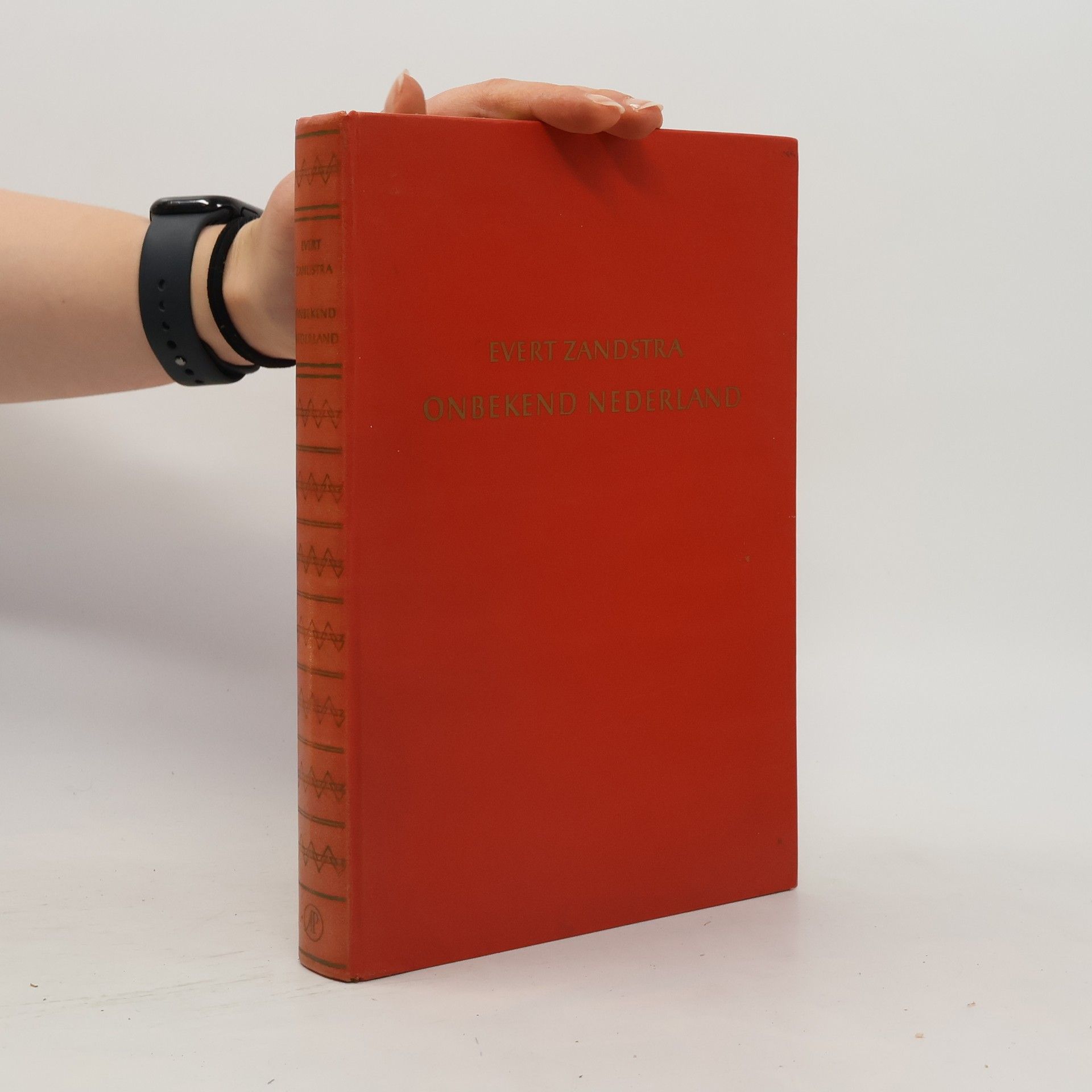 Evert Zandstra Onbekend Nederland