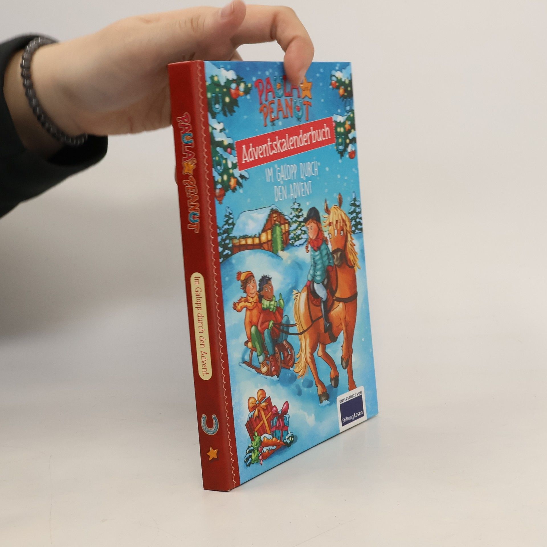 Julia Breitenöder Adventskalenderbuch. Im Galopp durch den Advent