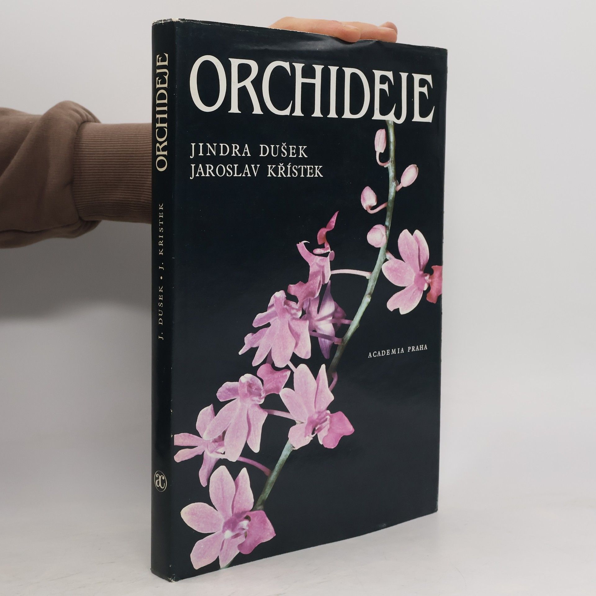 Orchideje