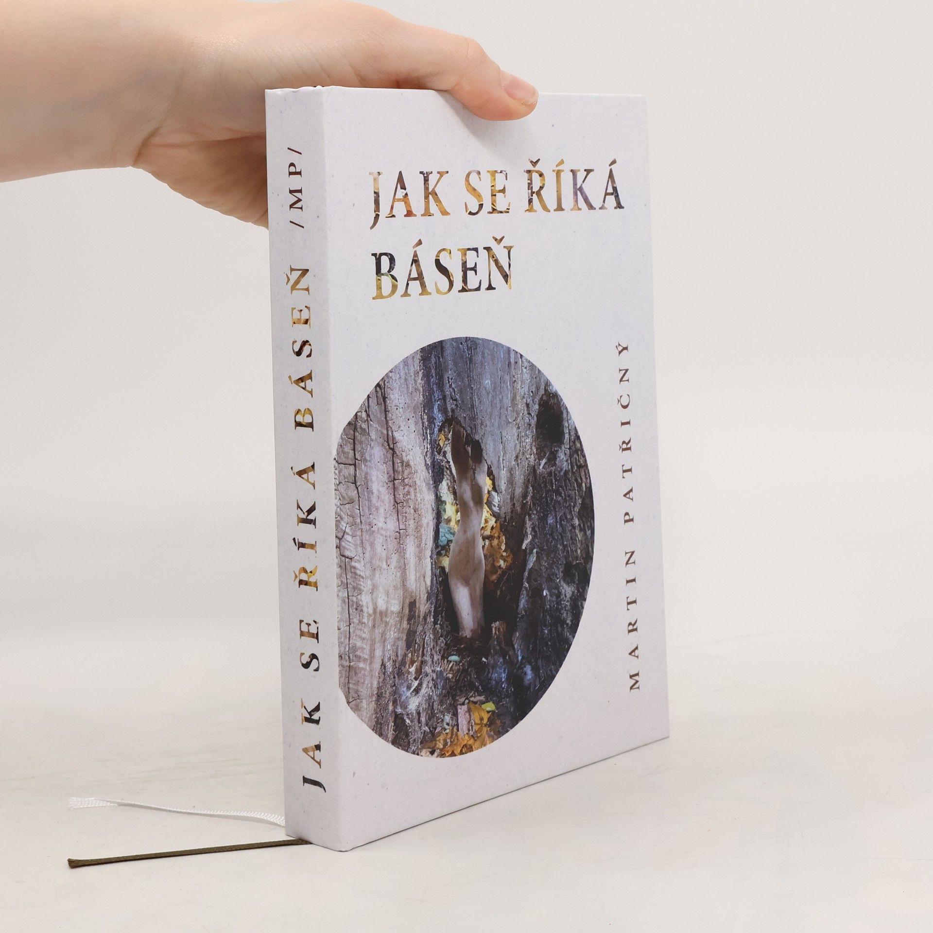 Martin Patřičný Jak se říká báseň