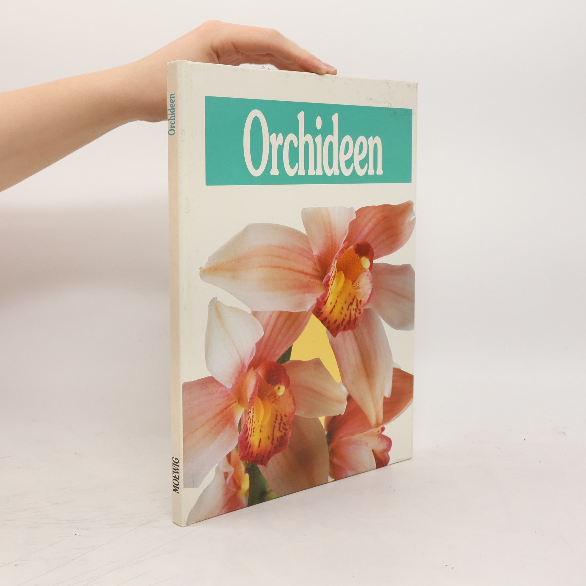 Orchideen