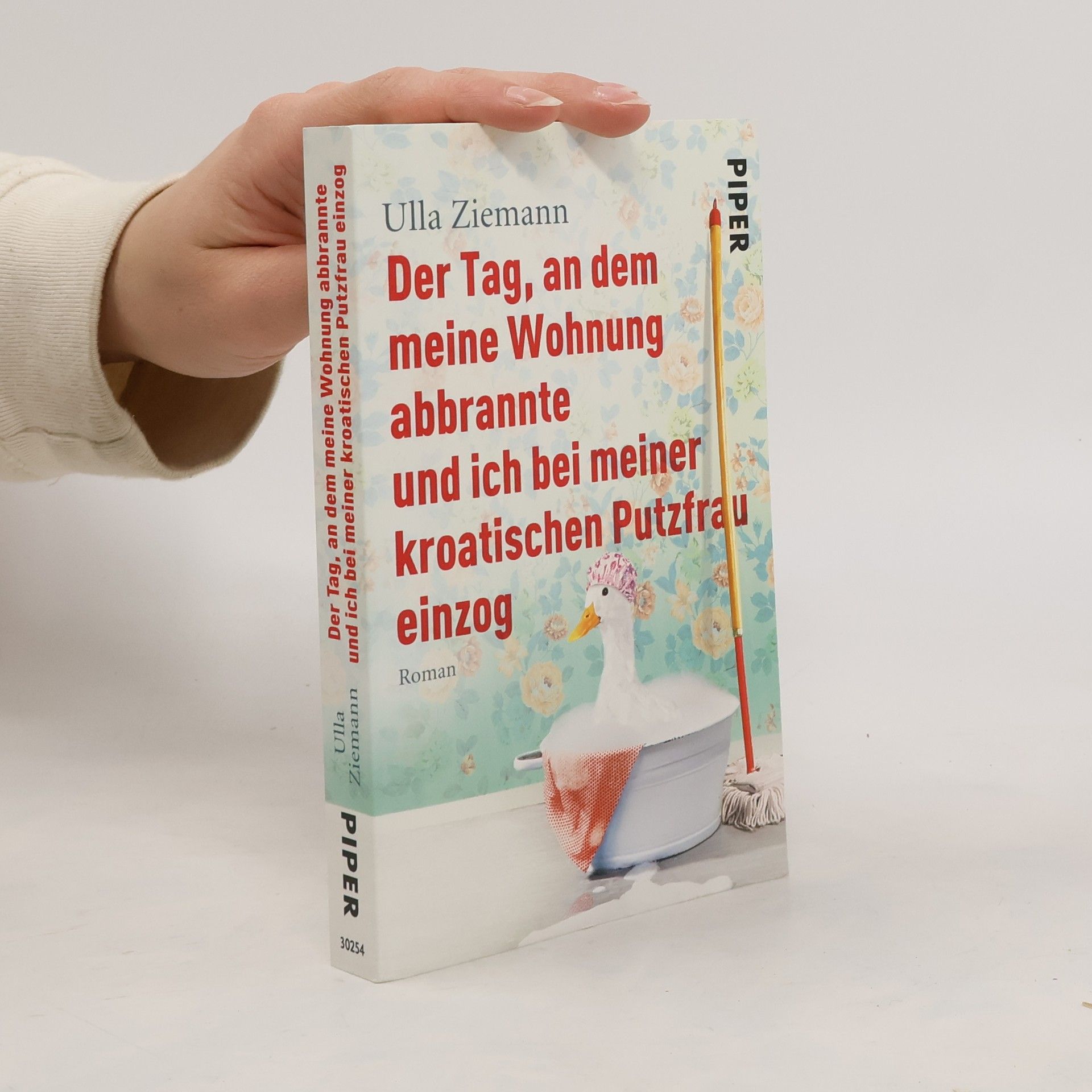 Ulla Ziemann Der Tag, an dem meine Wohnung abbrannte und ich bei meiner kroatischen Putzfrau einzog