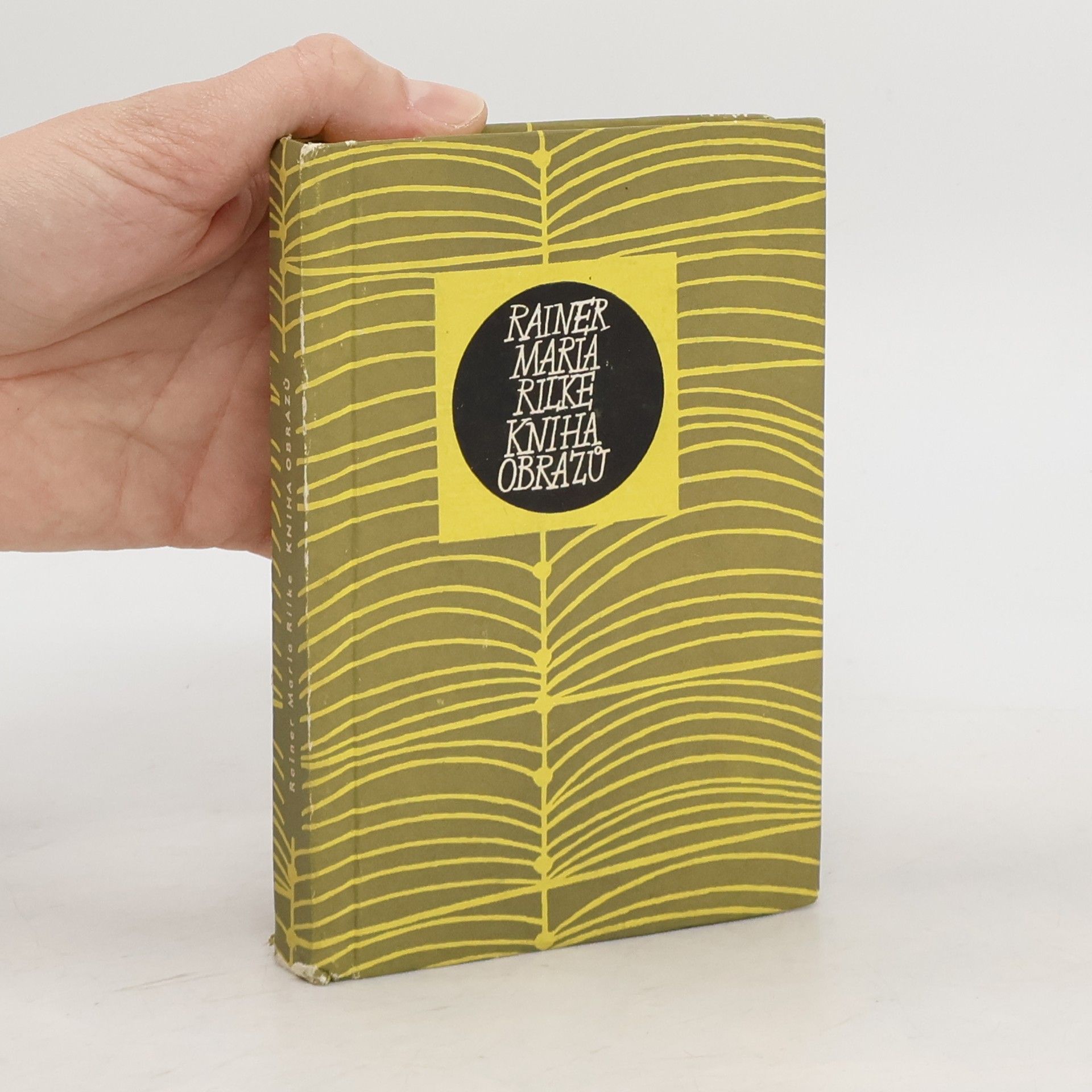 Rainer Maria Rilke Kniha obrazů