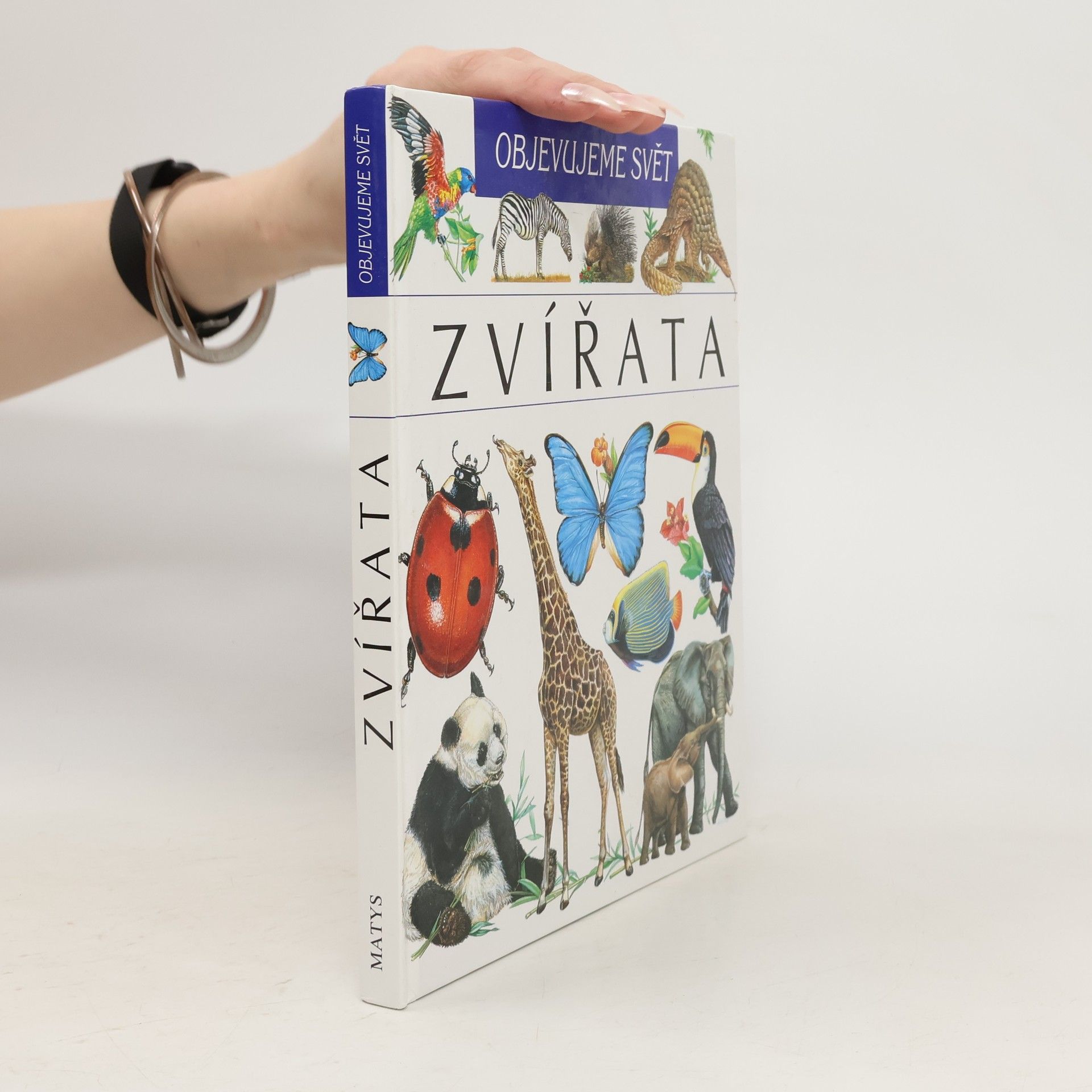 Autorenkollektiv Zvířata. Objevujeme svět