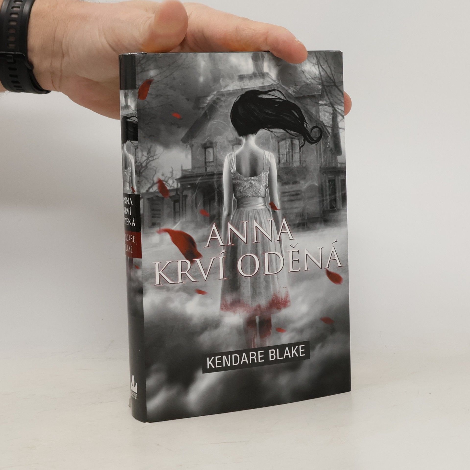 Kendare Blake Anna krví oděná