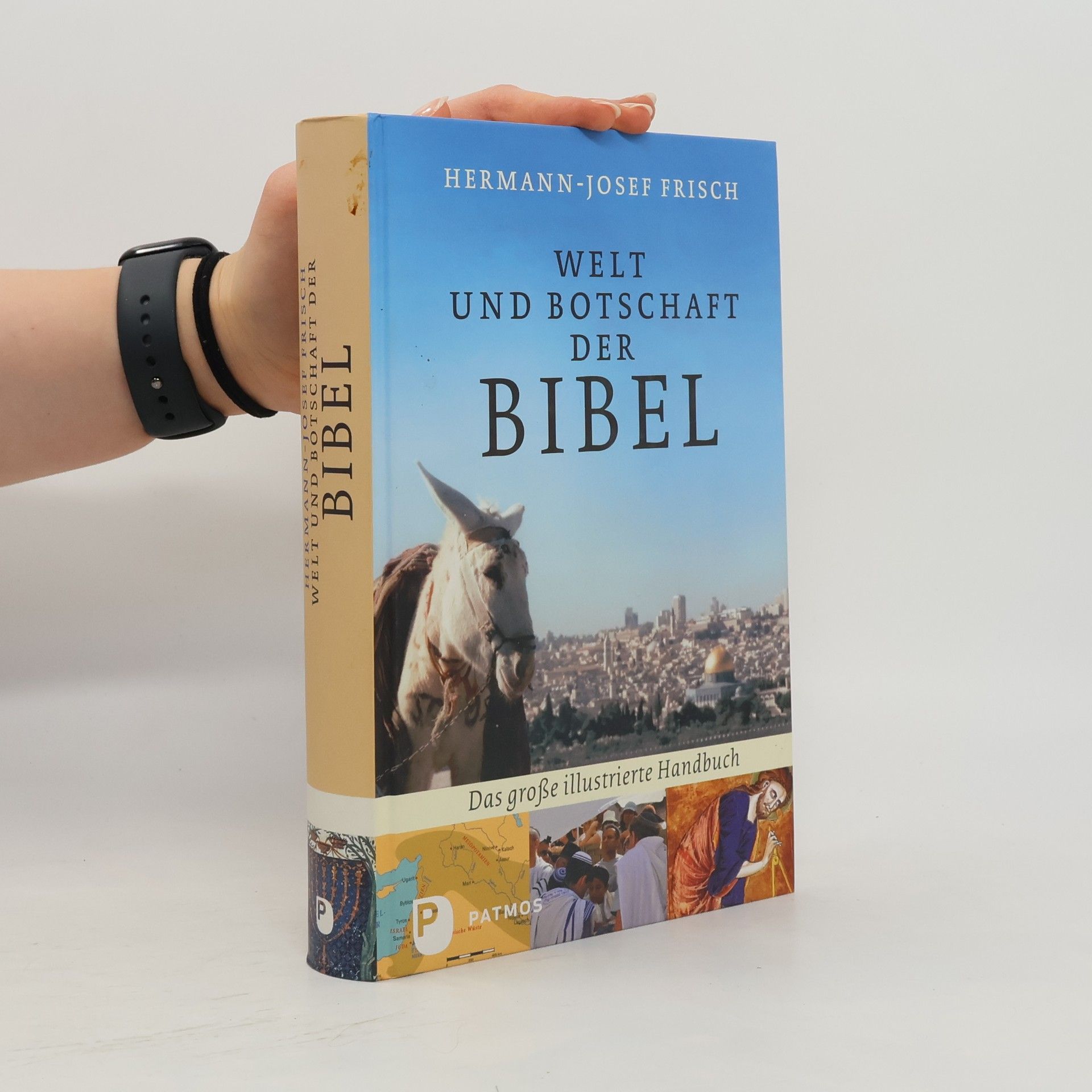 Hermann-Josef Frisch Welt und Botschaft der Bibel