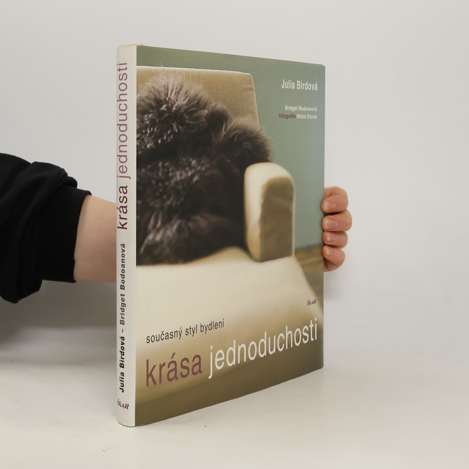 Julia Bird Krása jednoduchosti : současný styl bydlení