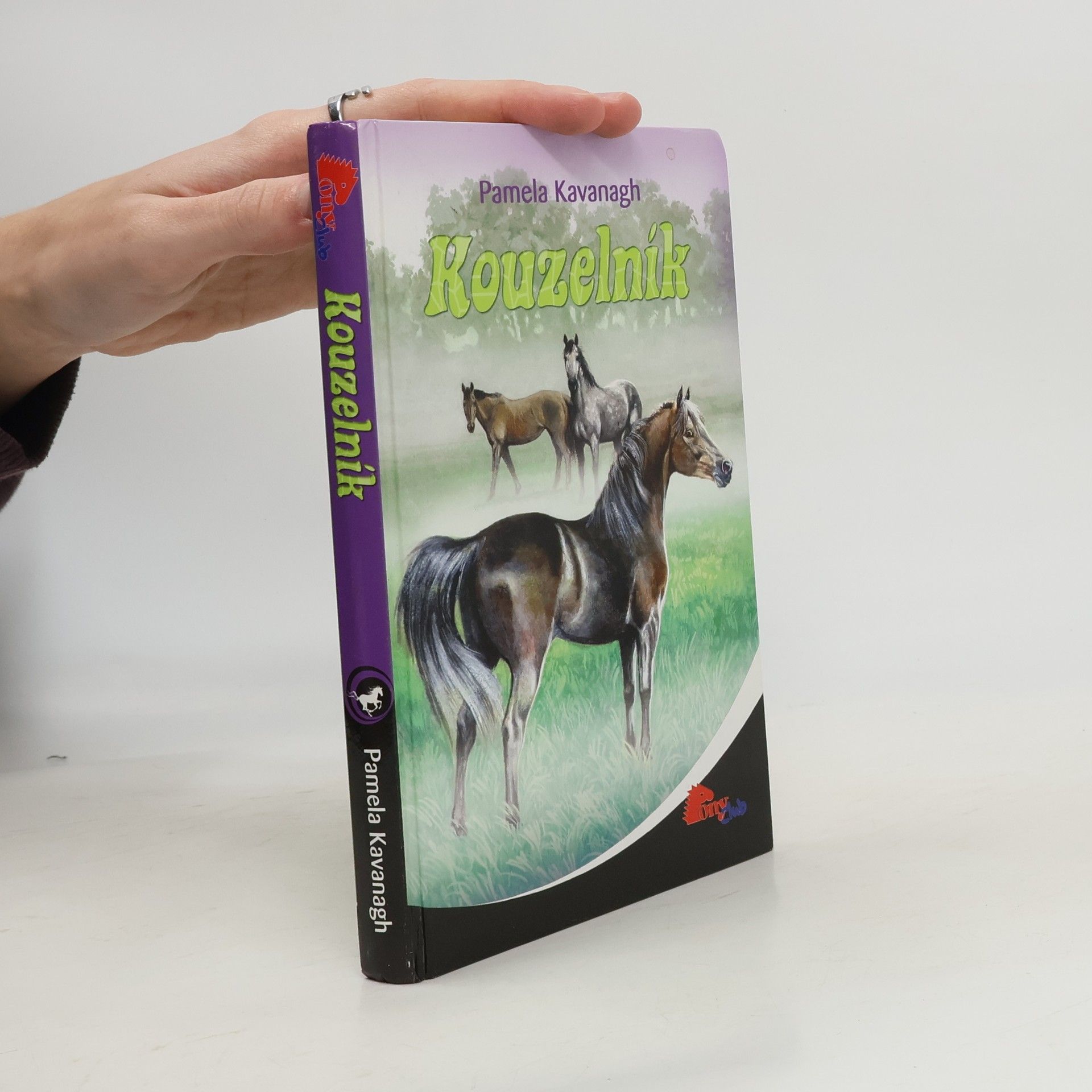 Pamela Kavanagh Kouzelník