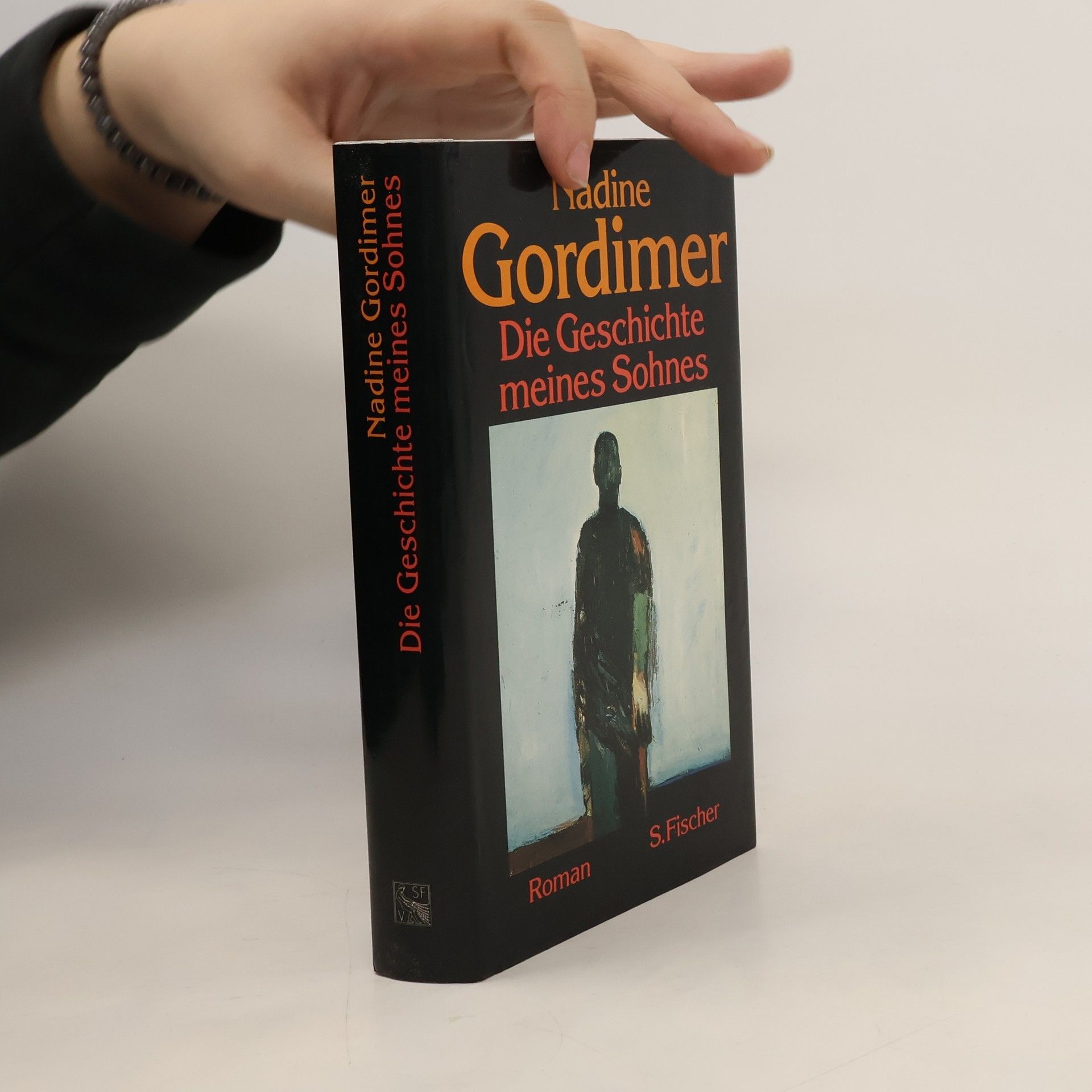 Nadine Gordimer Die Geschichte meines Sohnes