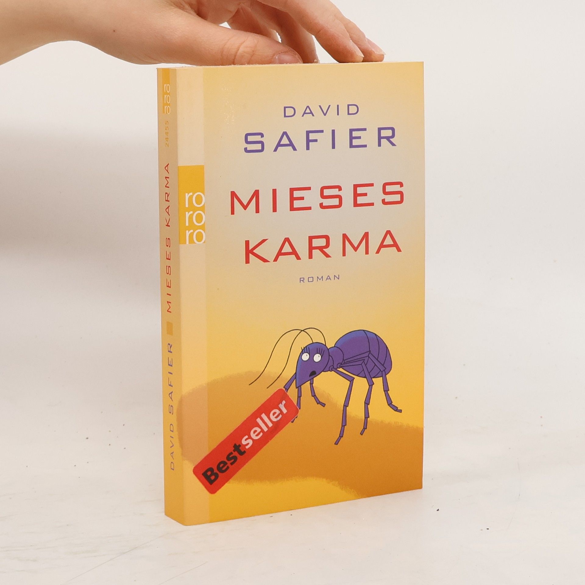 David Safier Mieses Karma