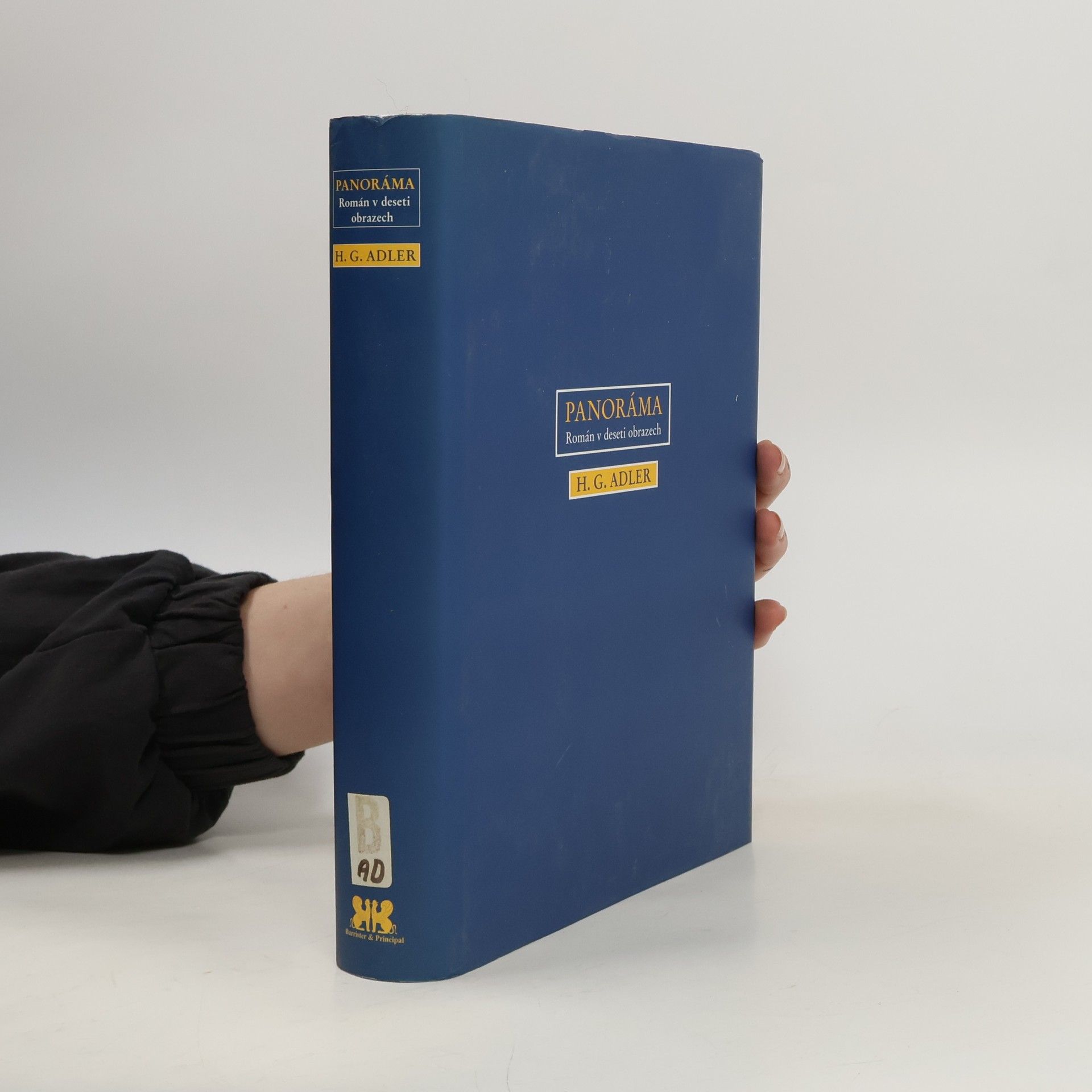 Hans Günther Adler Panoráma - Román v deseti obrazech