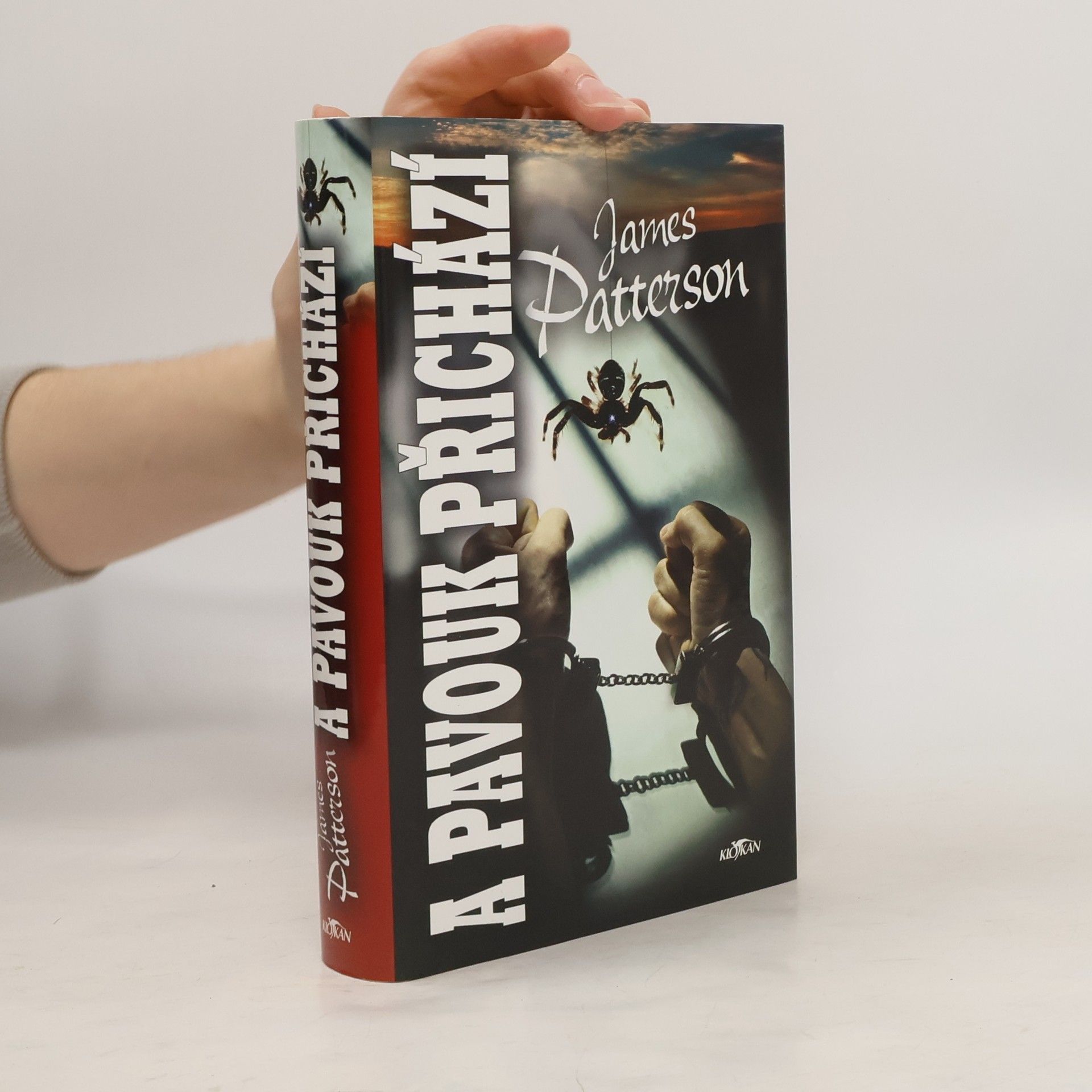 James Patterson A pavouk přichází