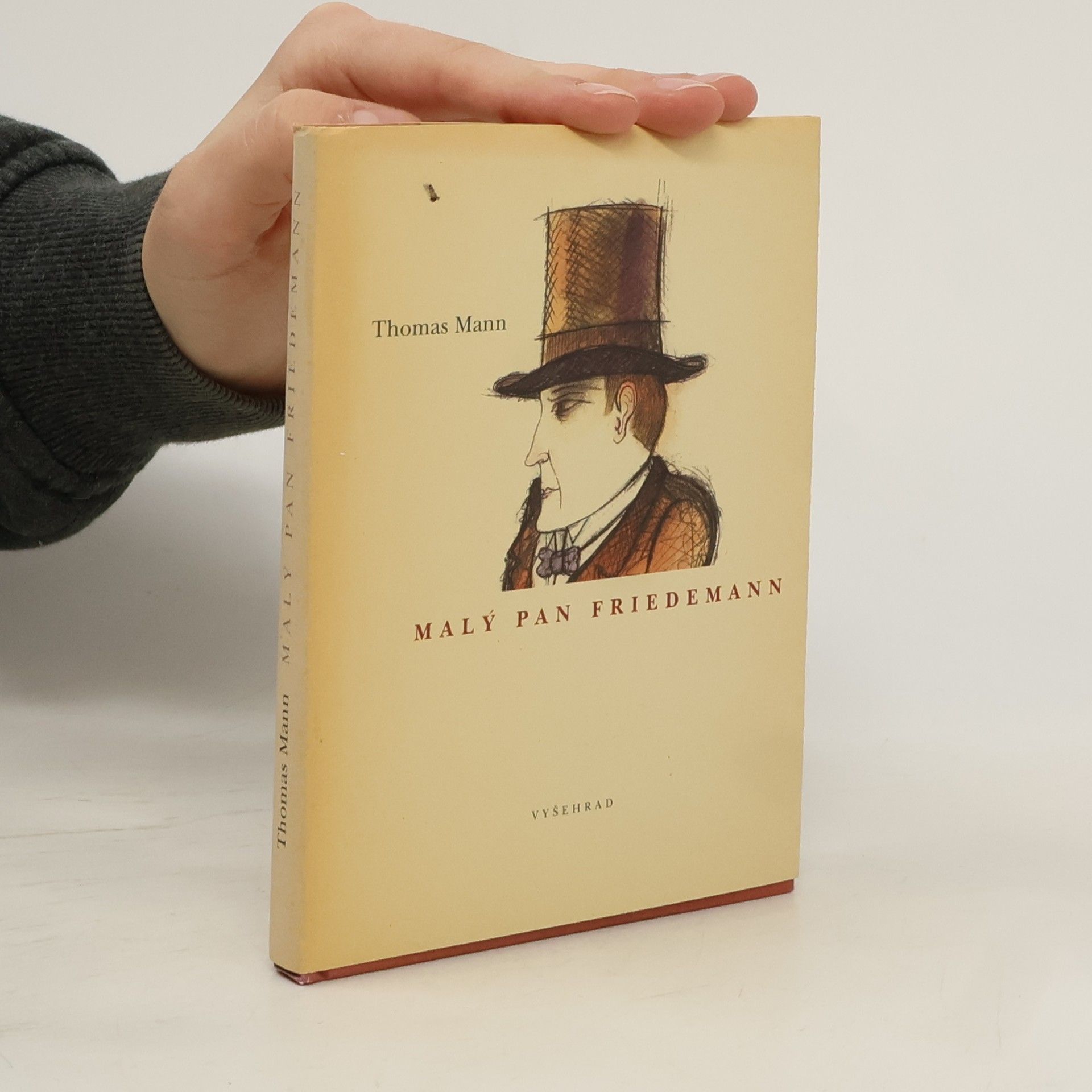 Thomas Mann Malý pan Friedemann