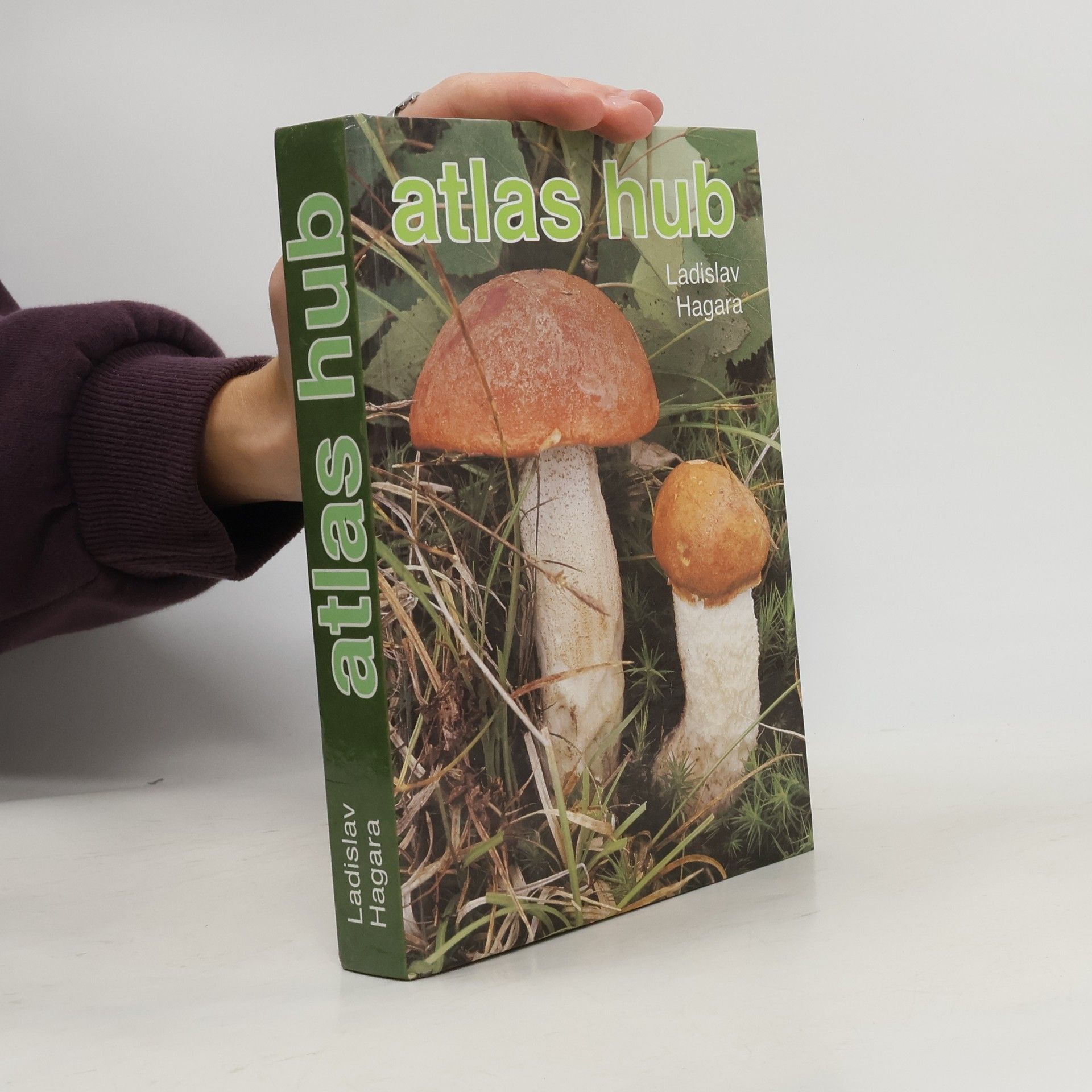 Vladimír Antonín Atlas hub