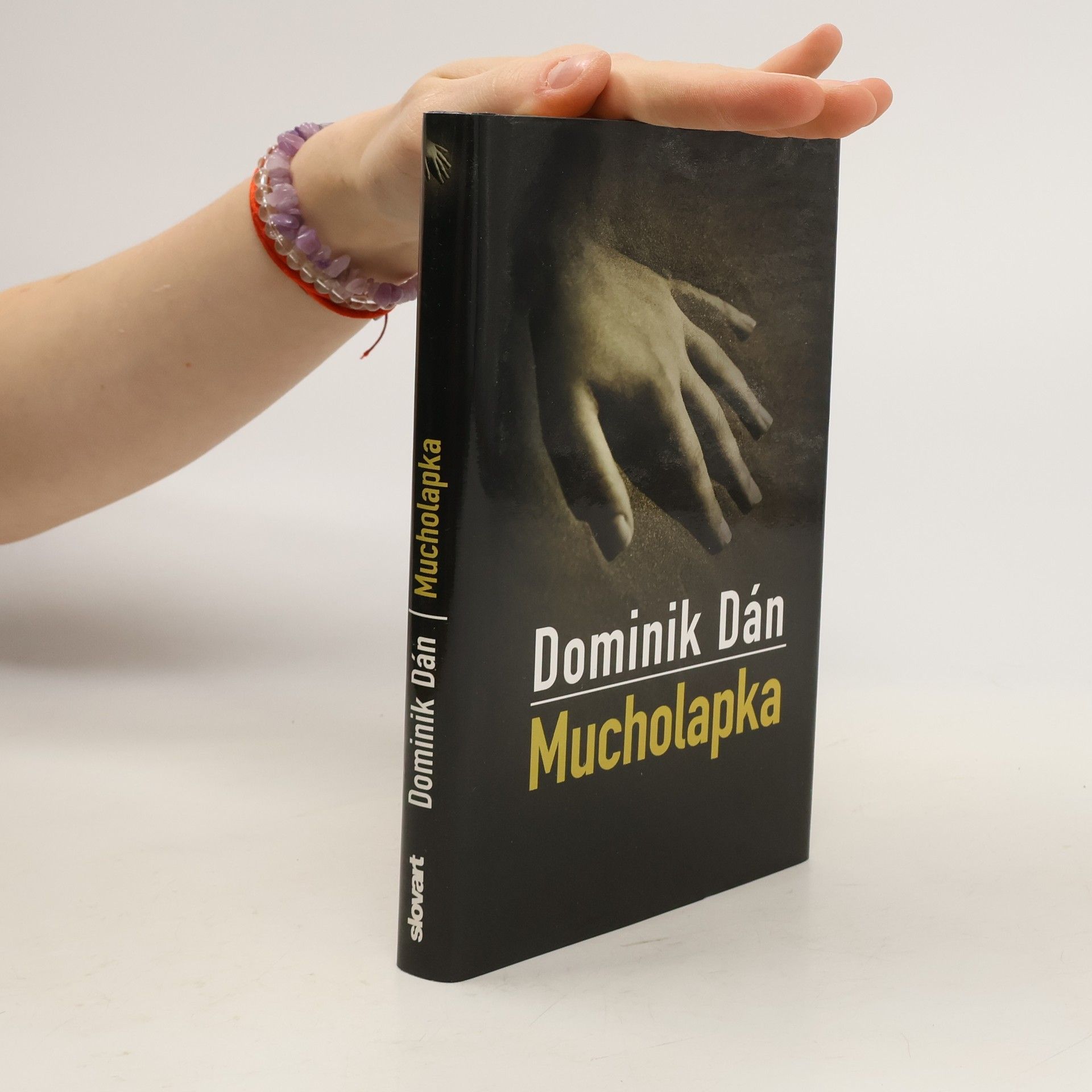 Dominik Dán Mucholapka