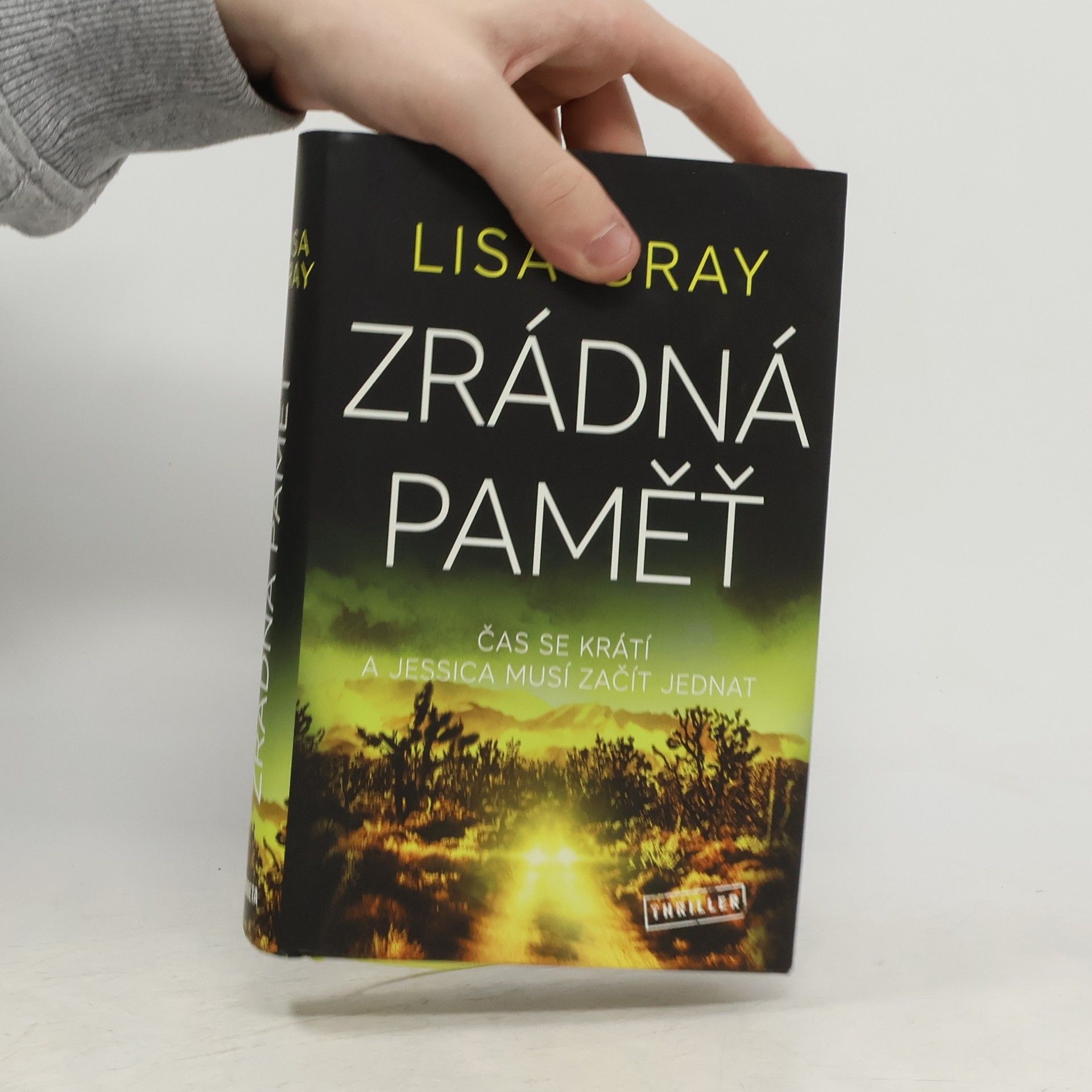 Lisa Gray Zrádná paměť