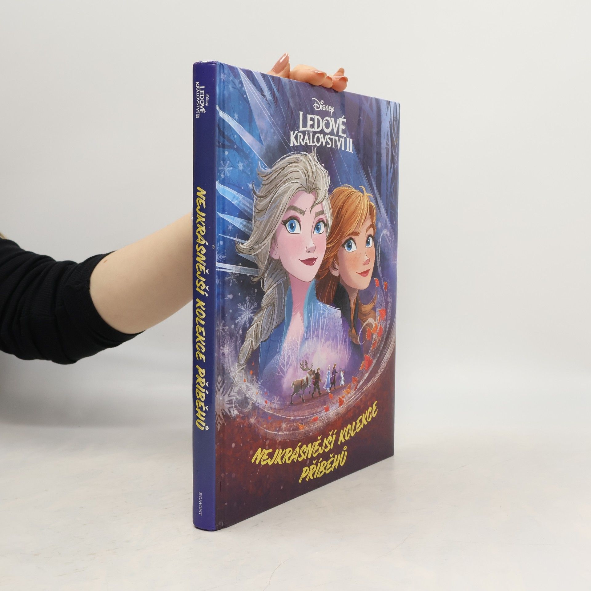 Auteurscollectief Ledové království II : nejkrásnější kolekce příběhů