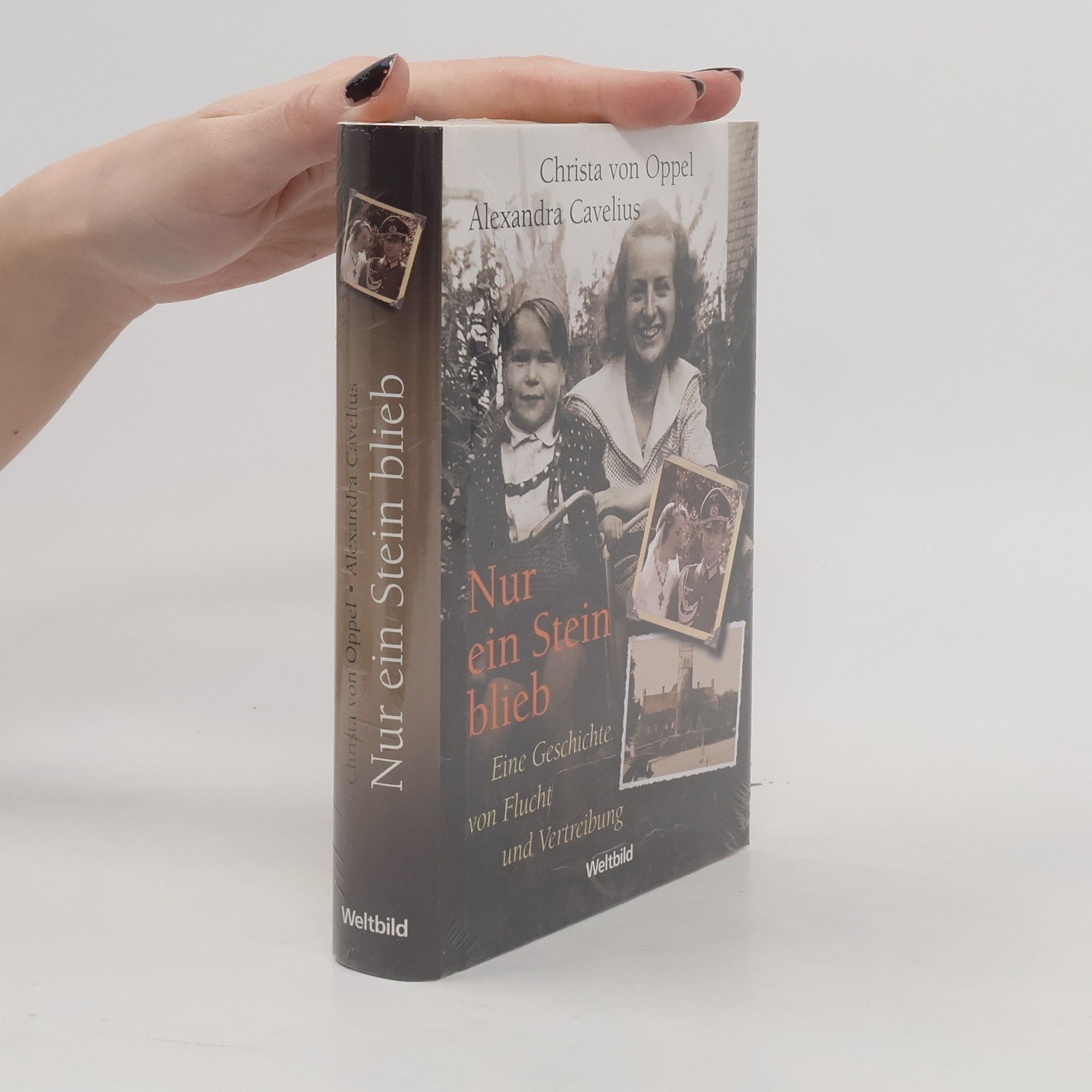 Christa von Oppel Nur ein Stein blieb