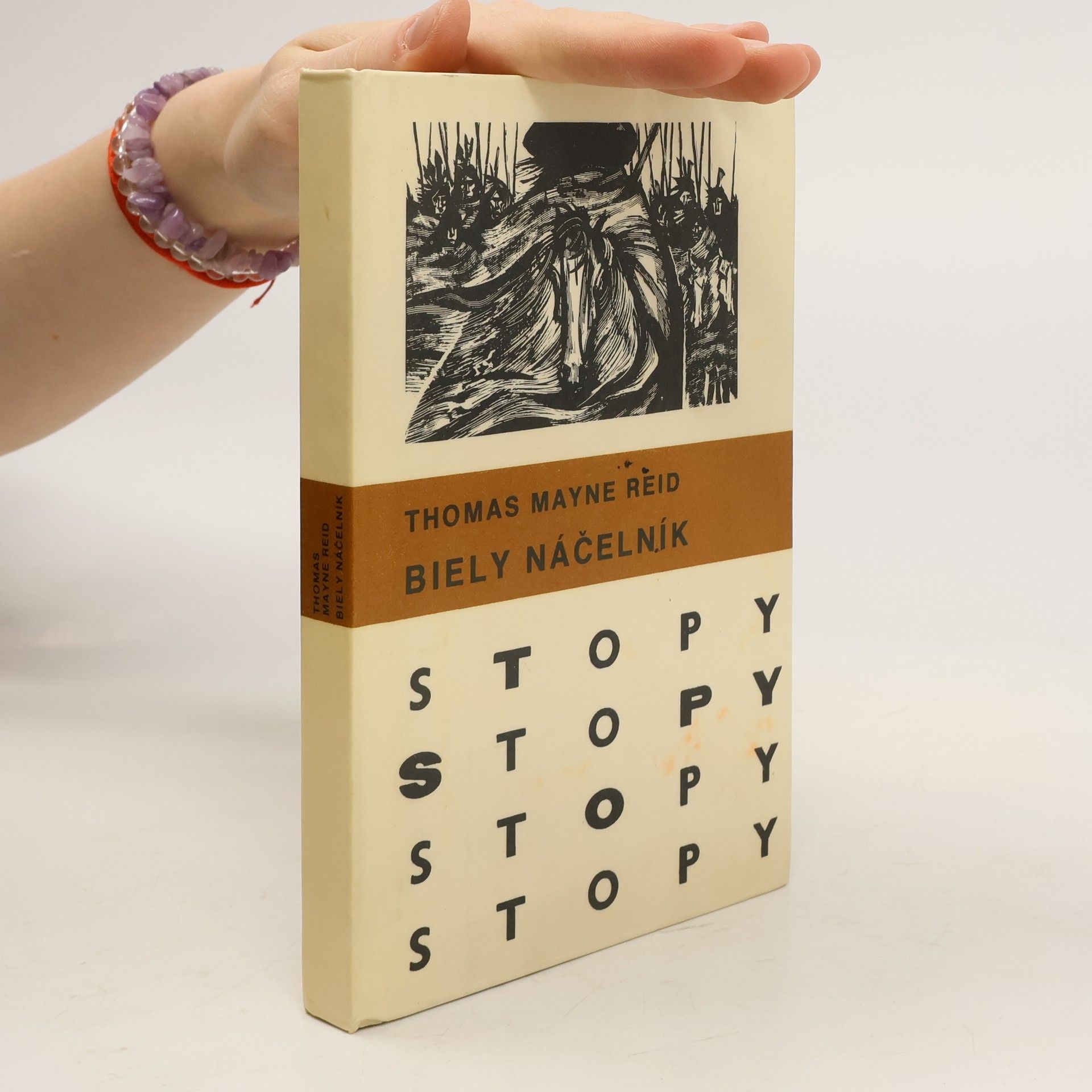 Mayne Thomas Reid Biely náčelník