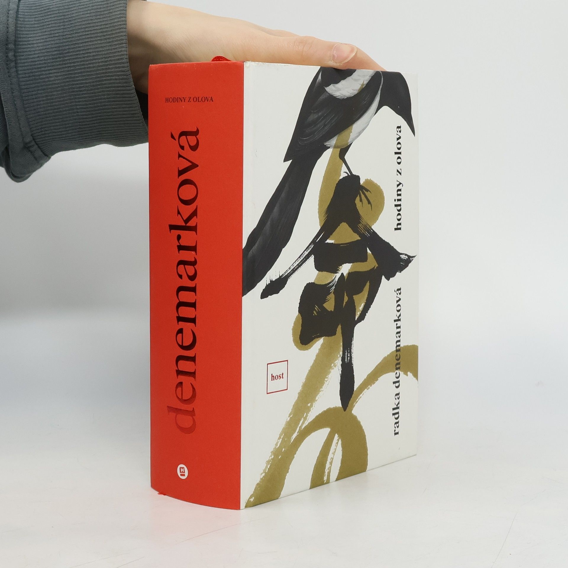 Radka Denemarková Hodiny z olova