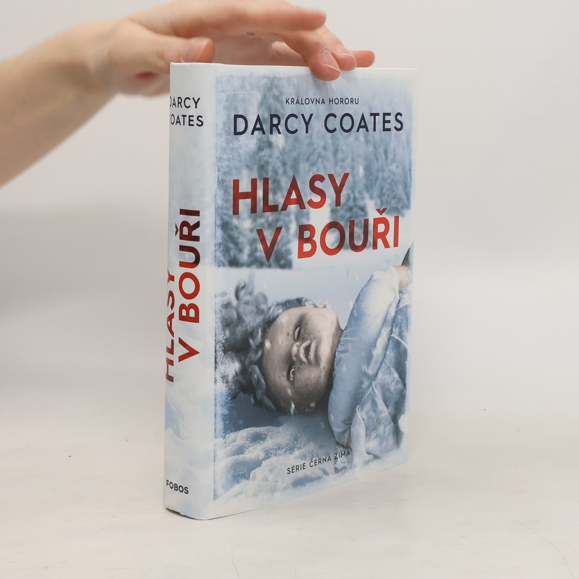Darcy Coates Hlasy v bouři