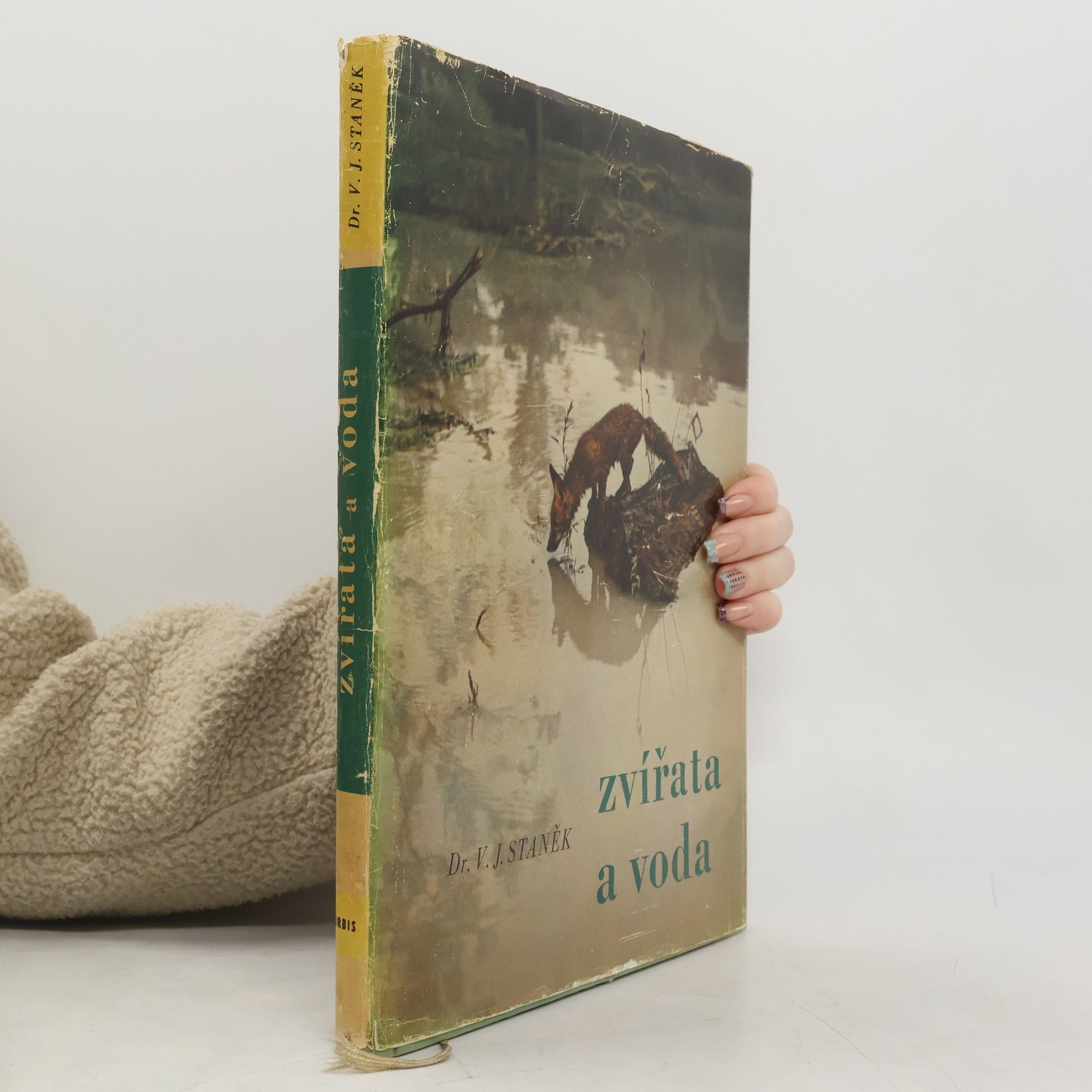 Václav Jan Staněk Zvířata a voda