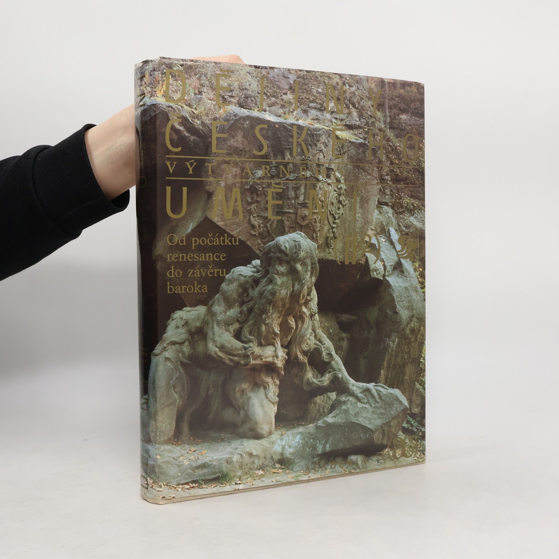 Jiří Dvorský Dějiny českého výtvarného umění II/2