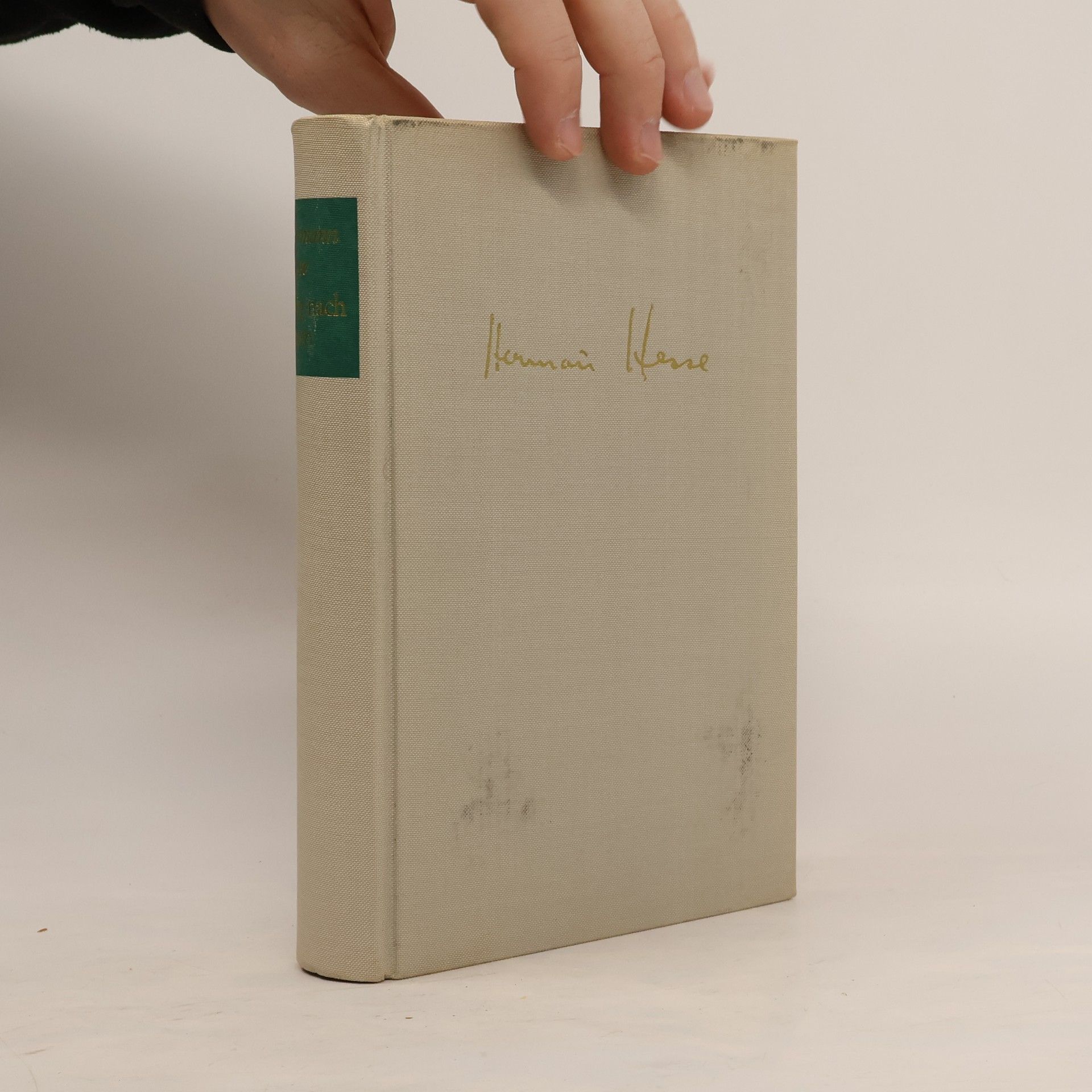 Hermann Hesse Weg nach Innen