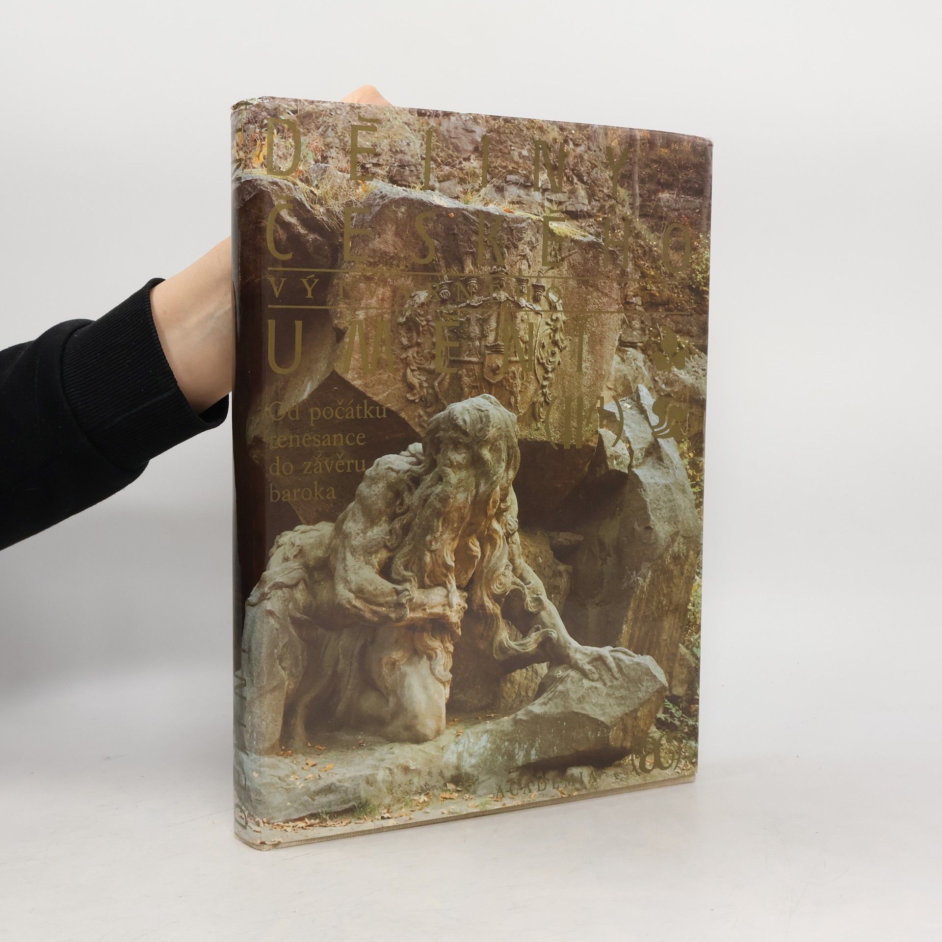 Autorenkollektiv Dějiny českého výtvarného umění II/1