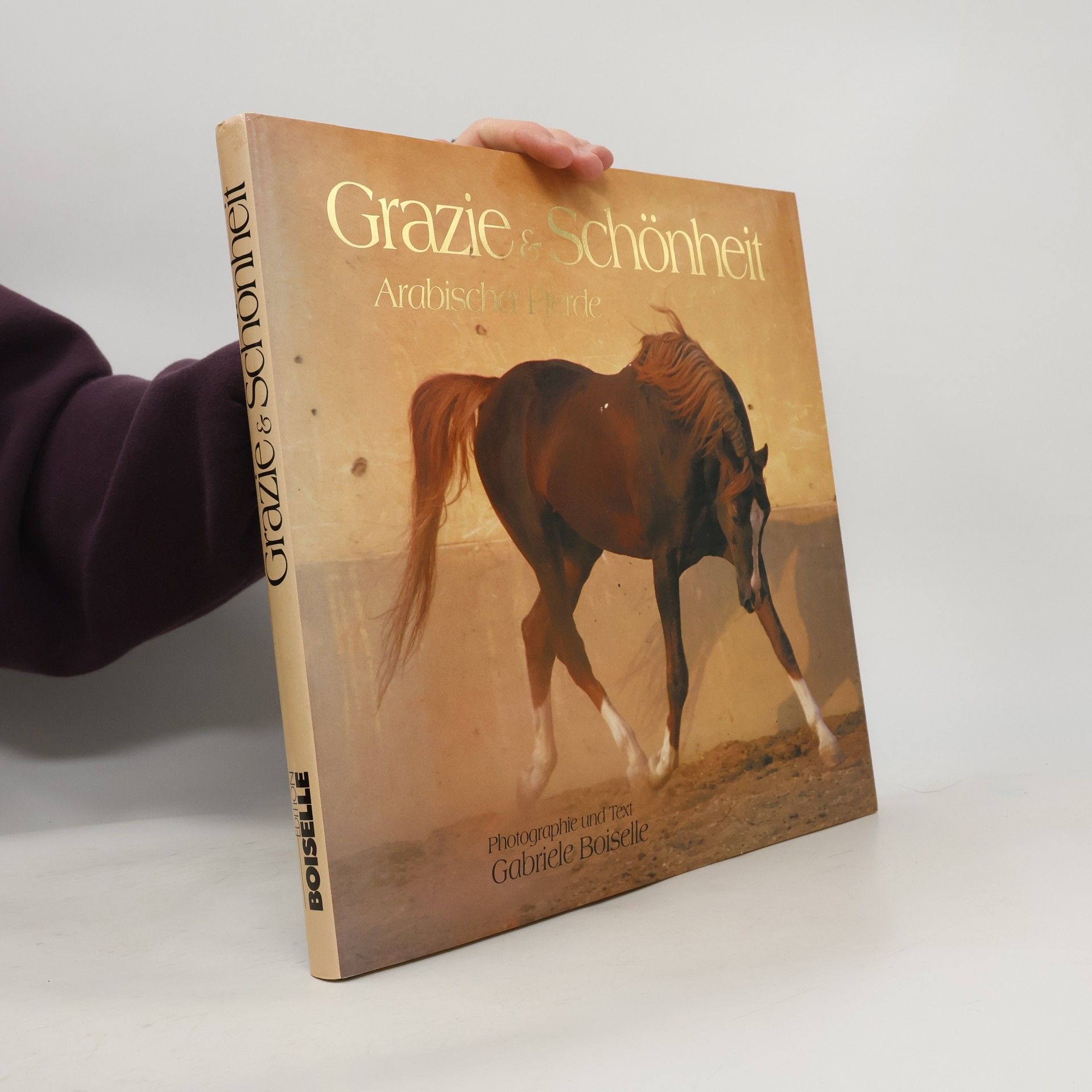 Gabrielle Boiselle Grazie & Schönheit arabischer Pferde