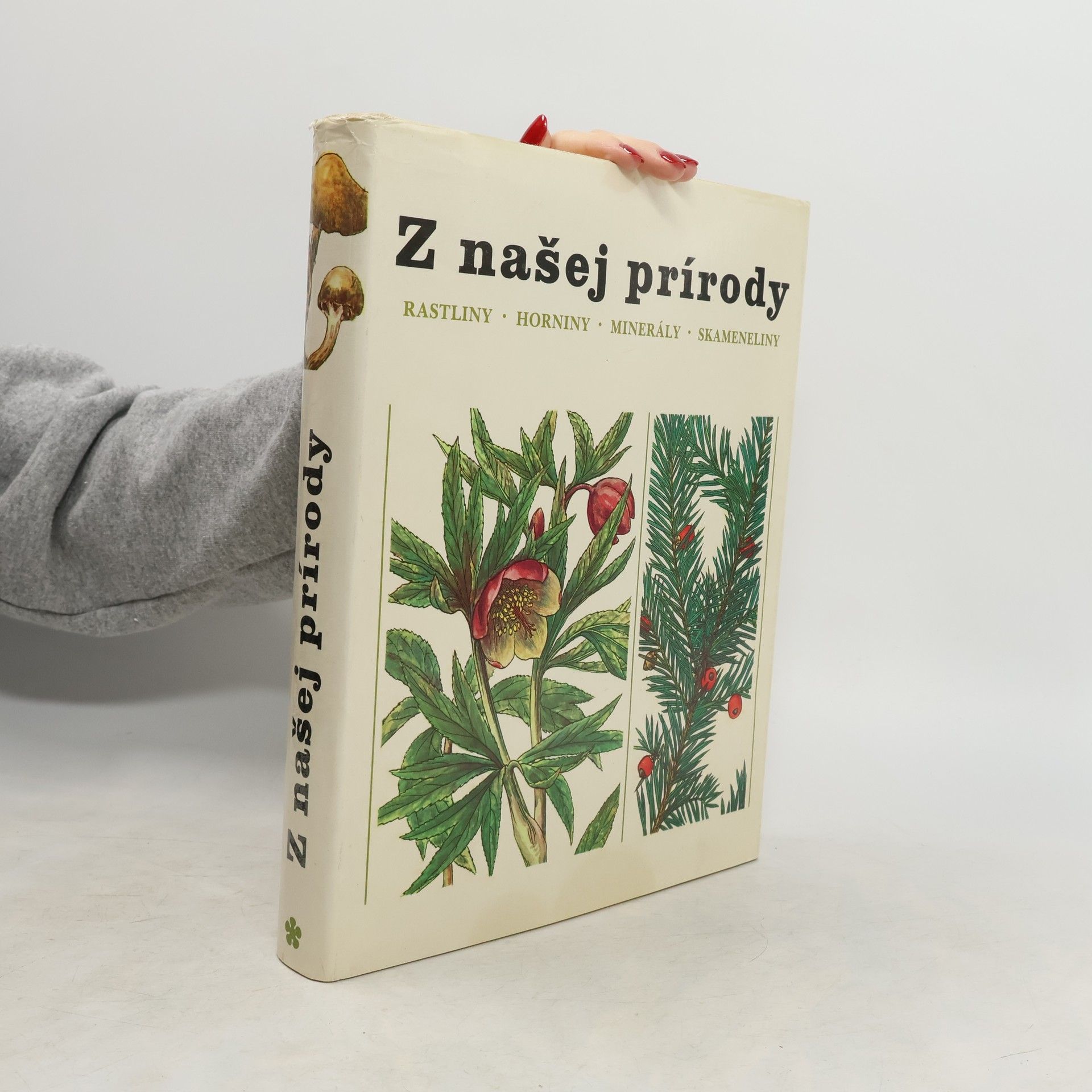 Jindřich Krejča Z našej prírody
