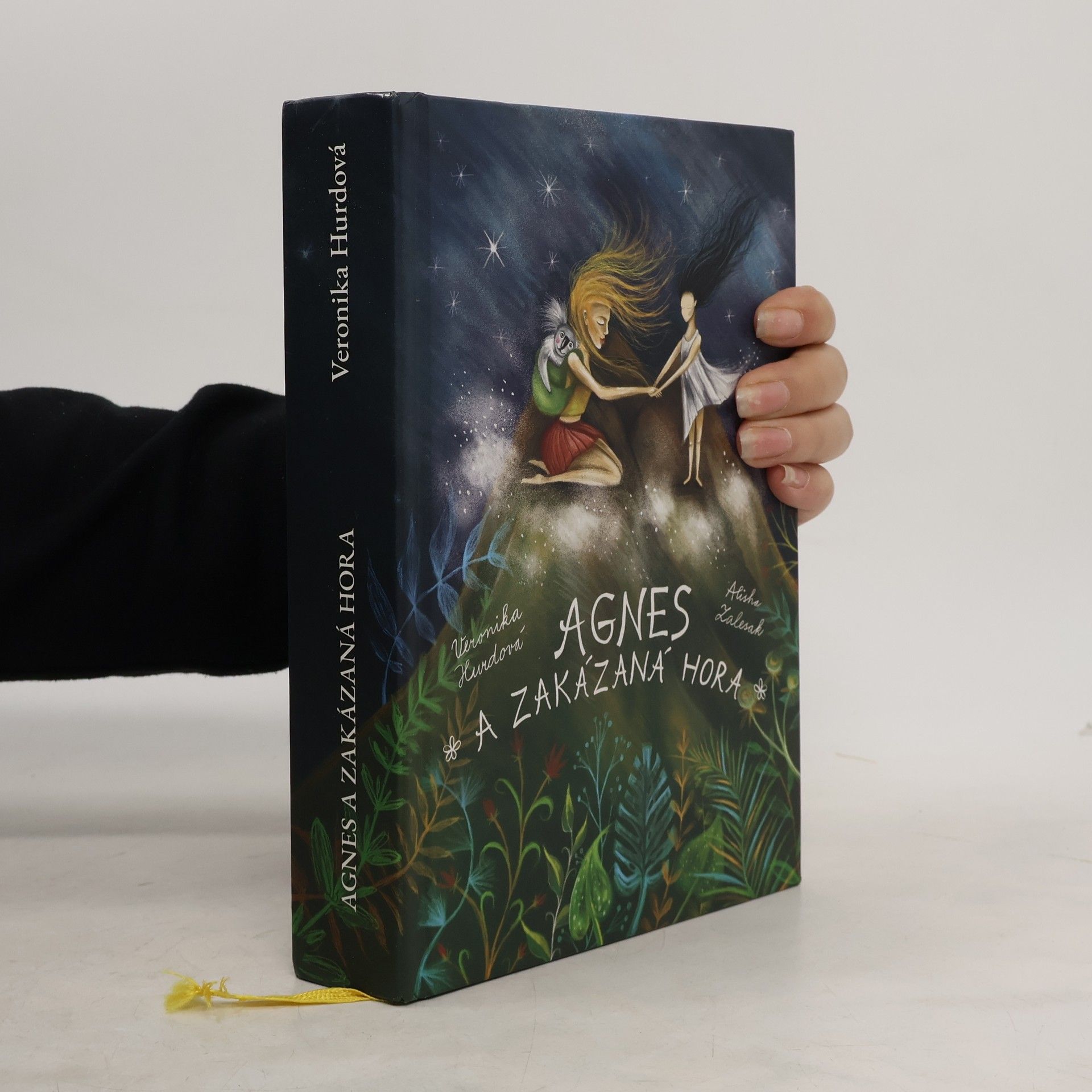 Veronika Hurdová Agnes a Zakázaná hora