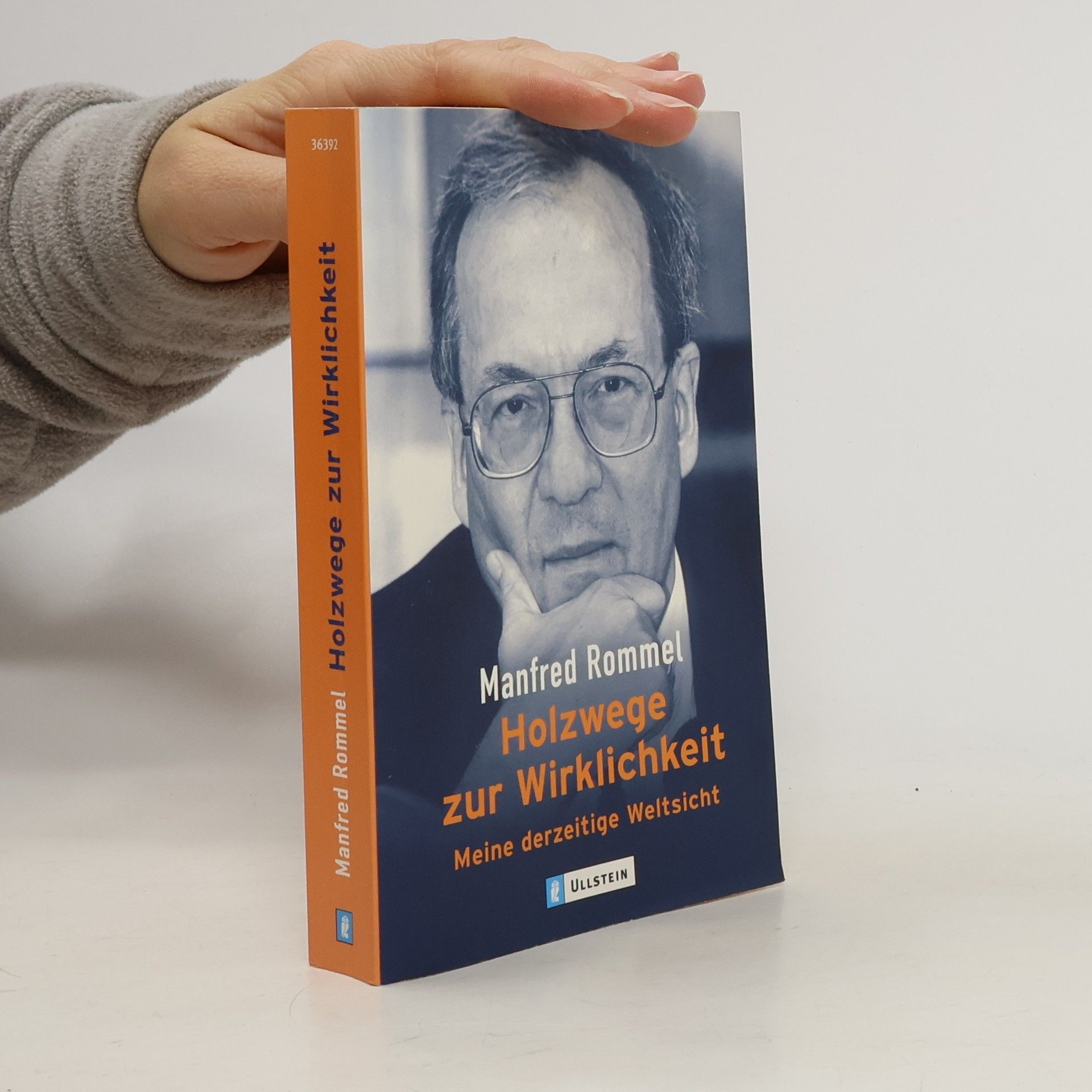 Manfred Rommel Holzwege zur Wirklichkeit