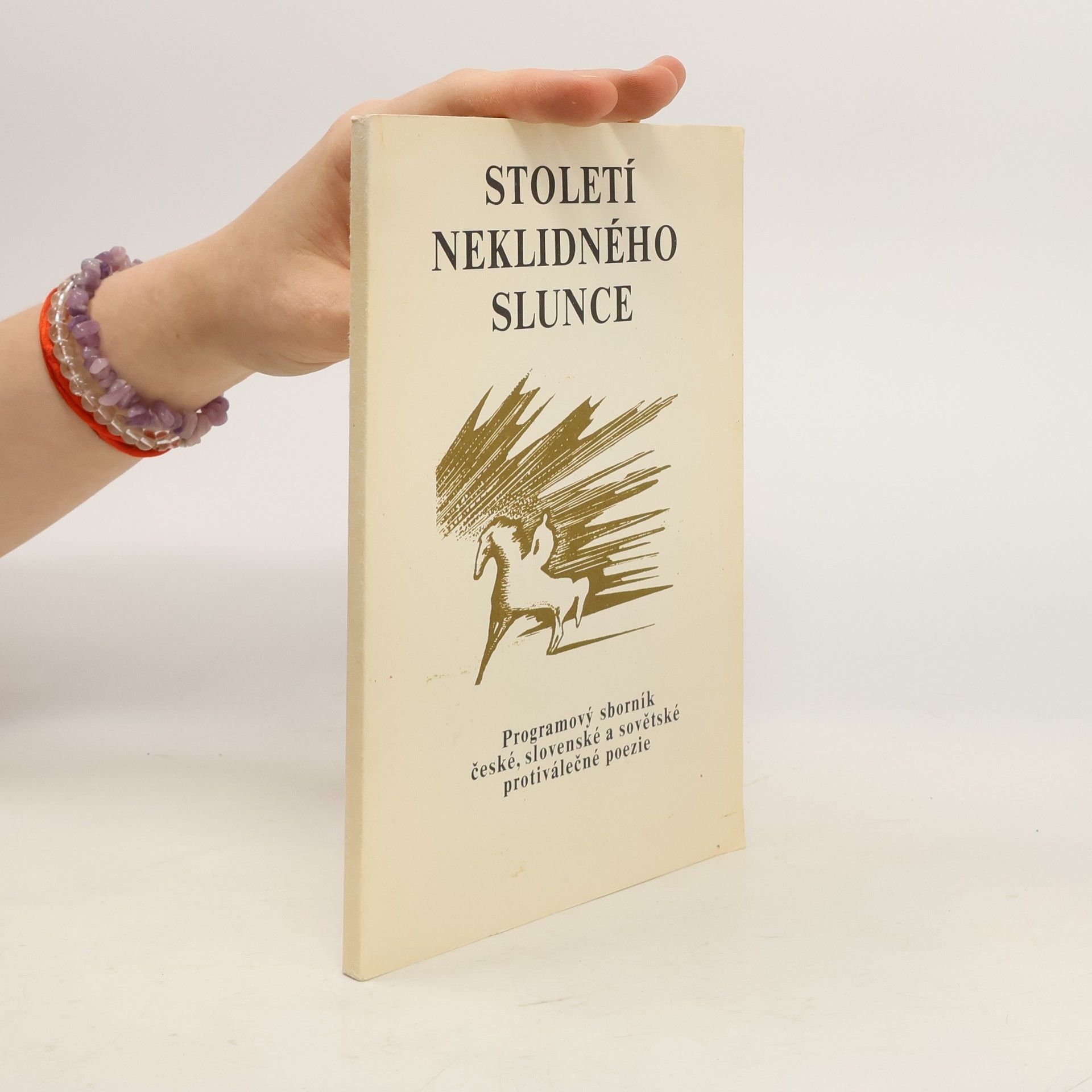 Autorenkollektiv Století neklidného slunce