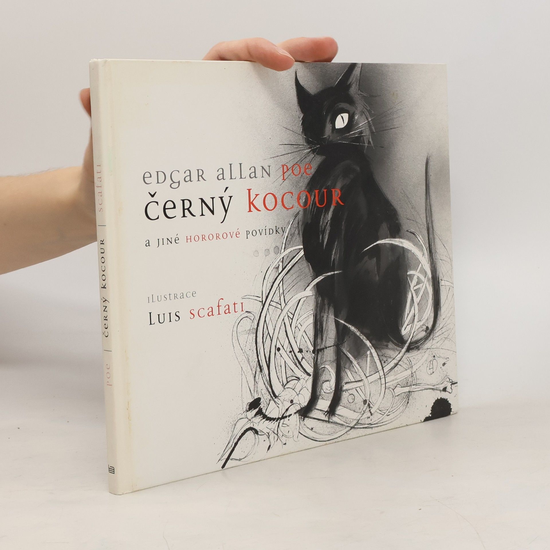 Edgar Allan Poe Černý kocour a jiné hororové povídky