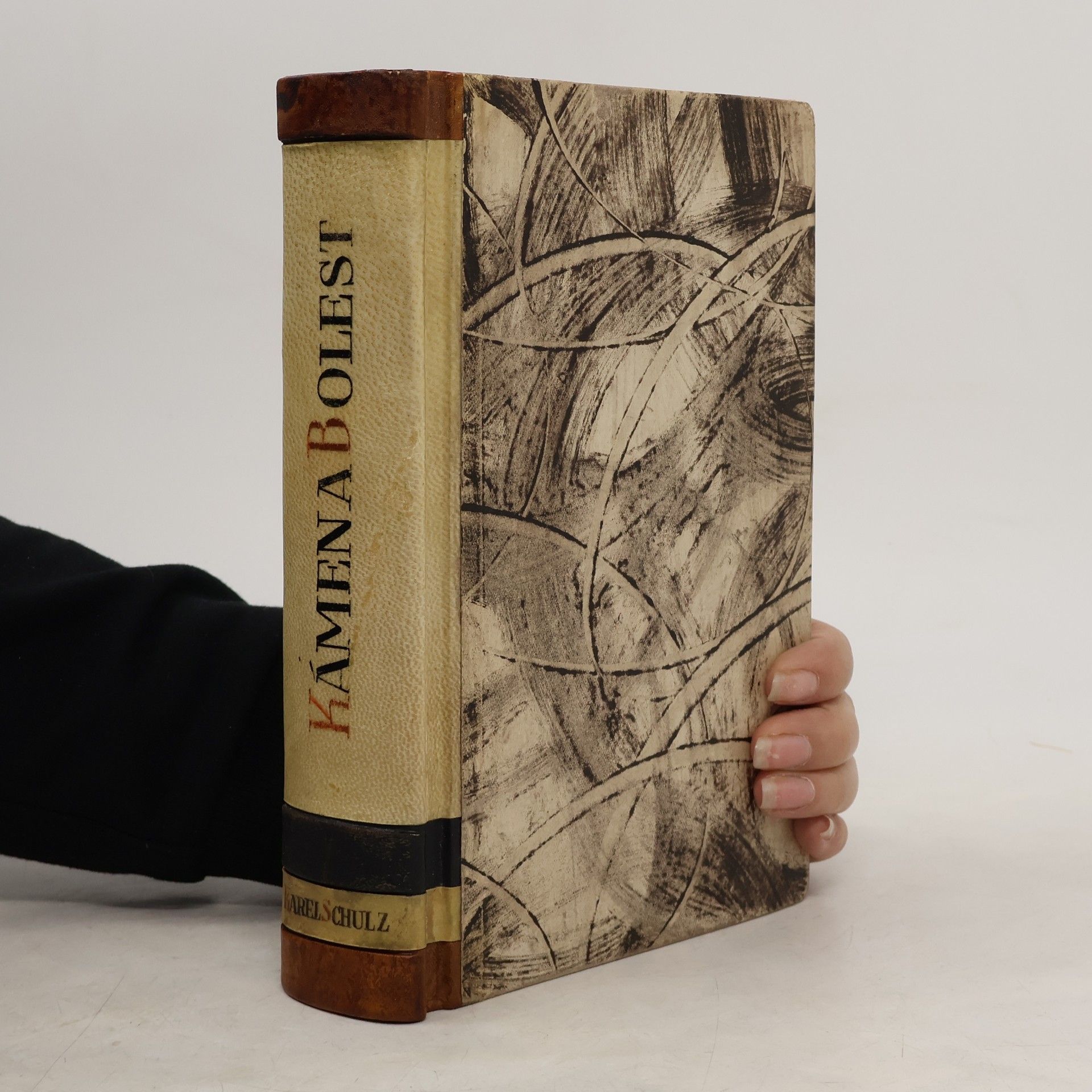 Karel Schulz Kámen a bolest. Díl 1.