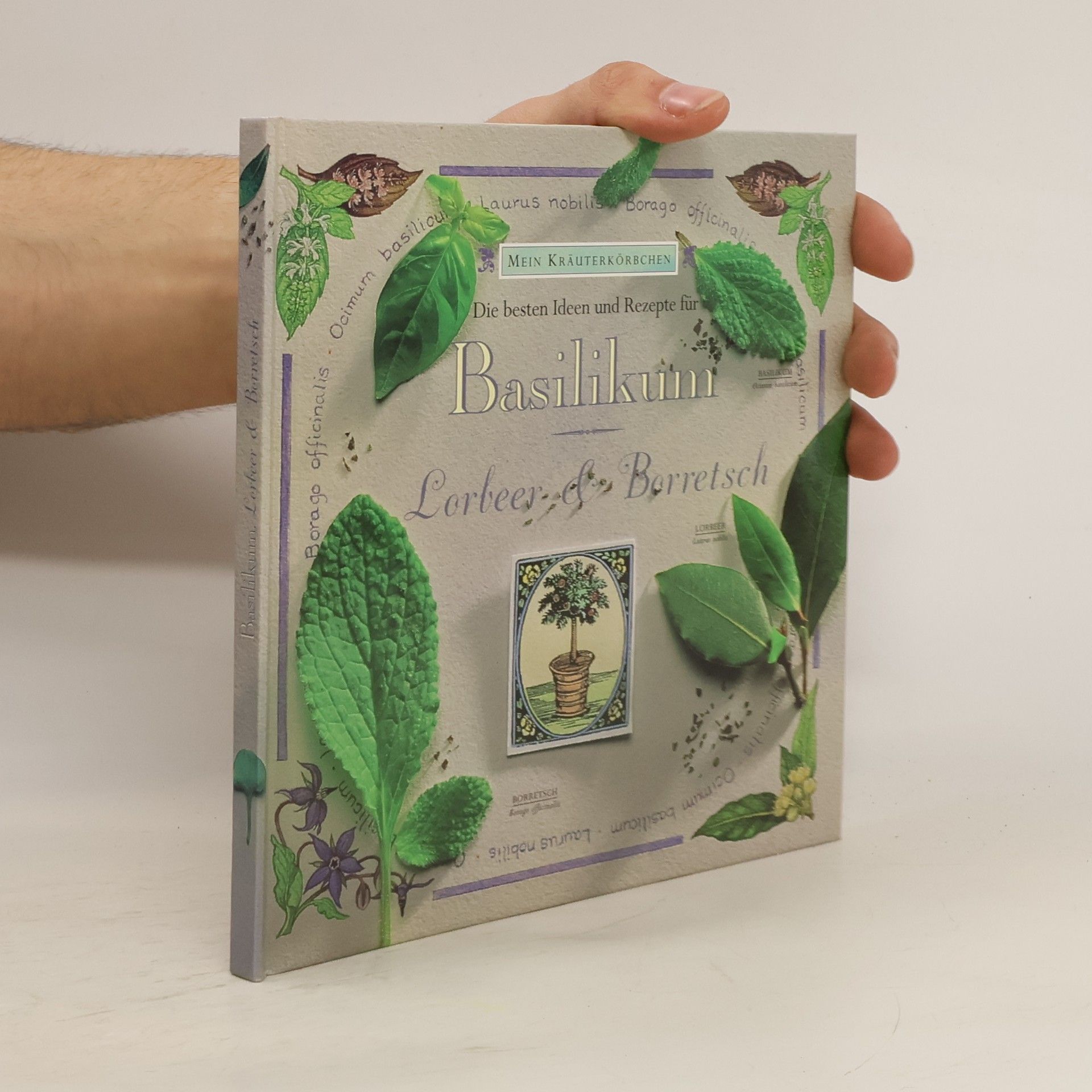Gloria Nicol Die besten Ideen und Rezepte für Basilikum, Lorbeer & Borretsch