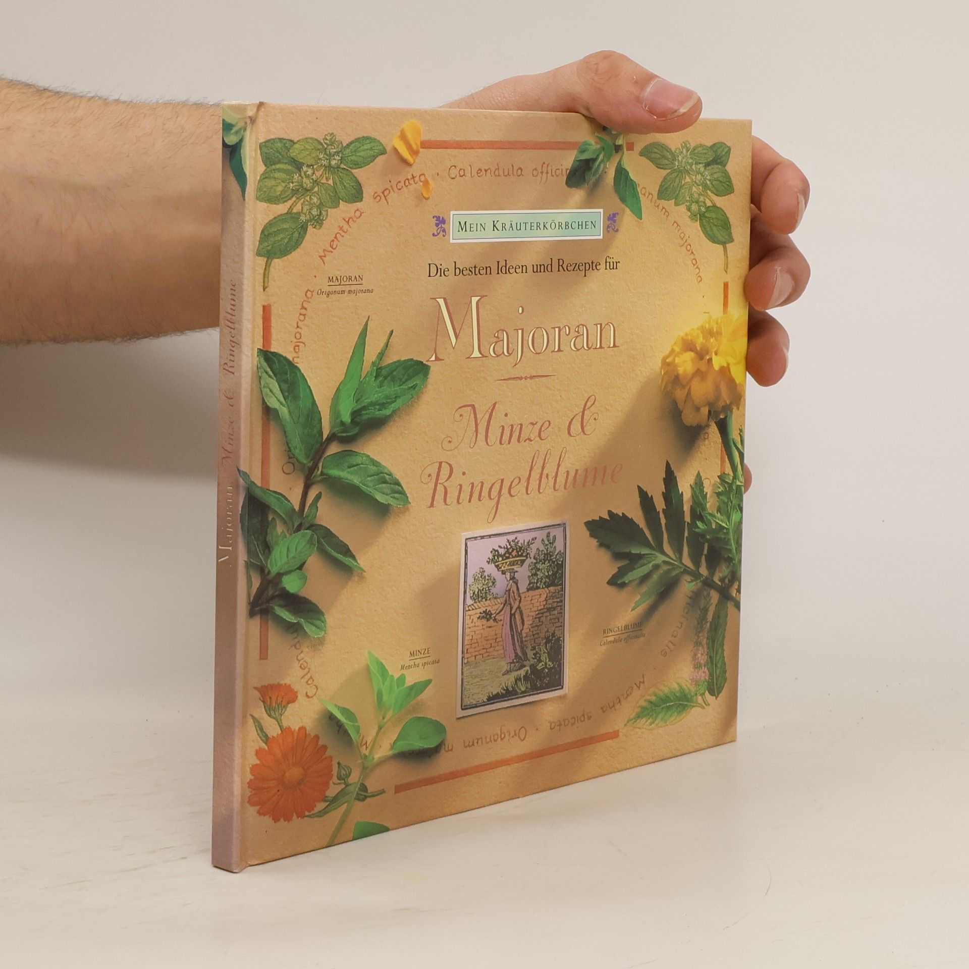 Gloria Nicol Die besten Ideen und Rezepte für Majoran, Minze & Ringelblume