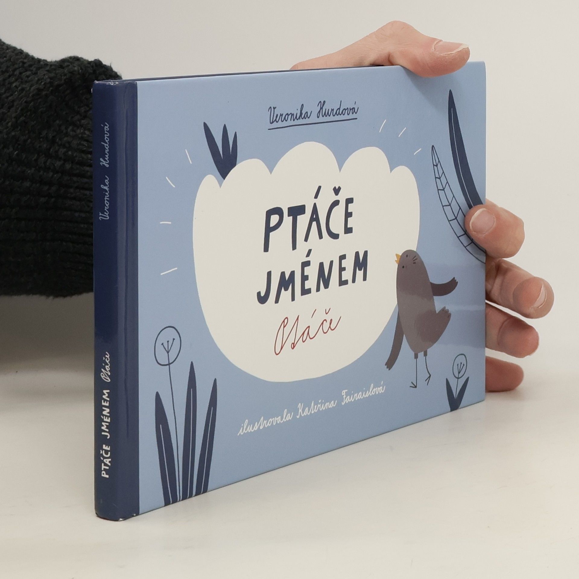 Veronika Hurdová Ptáče jménem Ptáče