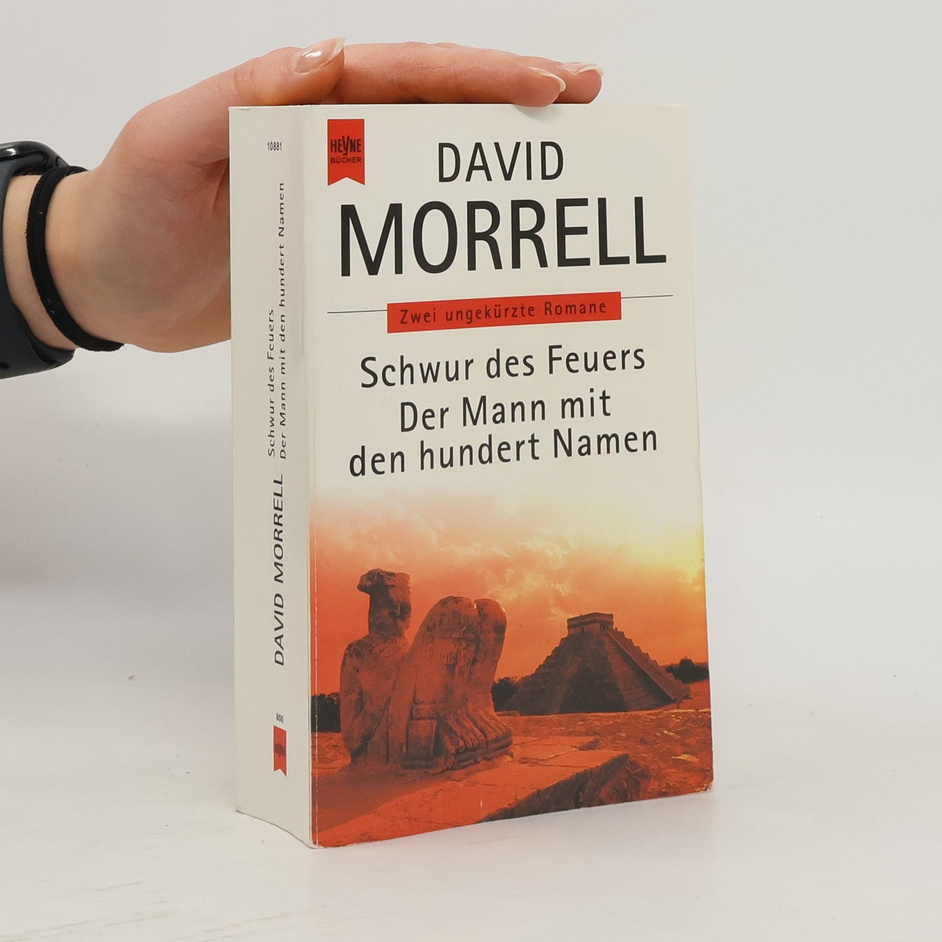 David Morrell Schwur der Feuers Der Mann mit den Hundert Namen