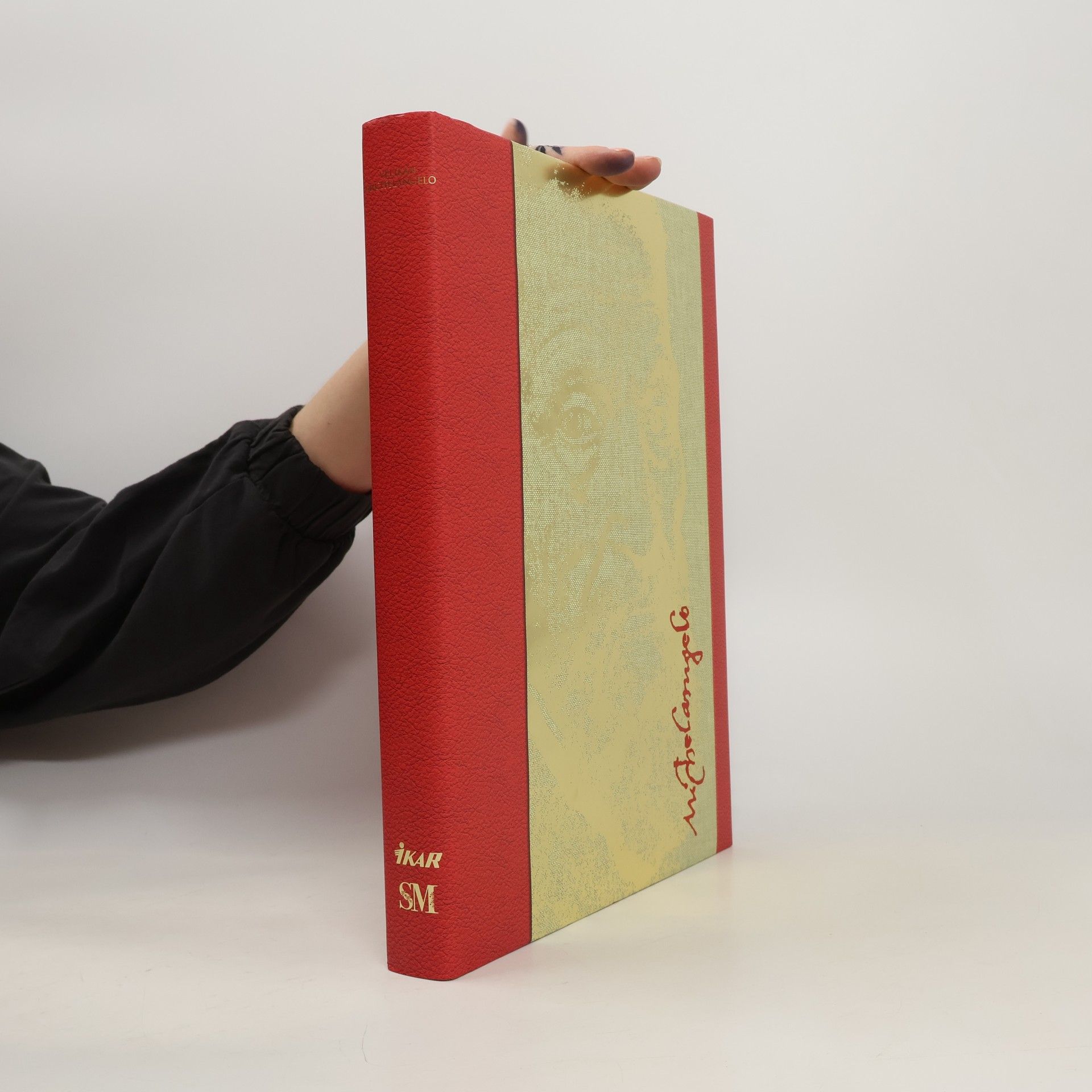 Fabio Scaletti Velikán Michelangelo